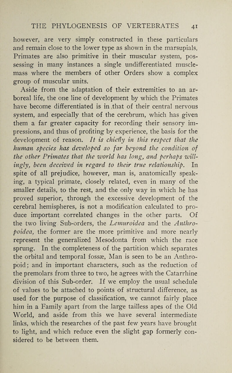 however, are very simply constructed in these particulars and remain close to the lower type as shown in the marsupials. Primates are also primitive in their muscular system, pos¬ sessing in many instances a single undifferentiated muscle- mass where the members of other Orders show a complex group of muscular units. Aside from the adaptation of their extremities to an ar¬ boreal life, the one line of development by which the Primates have become differentiated is in ..that of their central nervous system, and especially that of the cerebrum, which has given them a far greater capacity for recording their sensory im¬ pressions, and thus of profiting by experience, the basis for the development of reason. It is chiedy in this respect that the human species has developed so far beyond the condition of the other Primates that the zvorld has long, and perhaps will¬ ingly, been deceived in regard to their true relationship. In spite of all prejudice, however, man is, anatomically speak¬ ing, a typical primate, closely related, even in many of the smaller details, to the rest, and the only way in which he has proved superior, through the excessive development of the cerebral hemispheres, is not a modification calculated to pro¬ duce important correlated changes in the other parts. Of the two living Sub-orders, the Lemuroidea and the Anthro- poidea, the former are the more primitive and more nearly represent the generalized Mesodonta from which the race sprung. In the completeness of the partition which separates the orbital and temporal fossae, Man is seen to be an Anthro¬ poid; and in important characters, such as the reduction of the premolars from three to two, he agrees with the Catarrhine division of this Sub-order. .If we employ the usual schedule of values to be attached to points of structural difference, as used for the purpose of classification, we cannot fairly place him in a Family apart from the large tailless apes of the Old World, and aside from this we have several intermediate links, which the researches of the past few years have brought to light, and which reduce even the slight gap formerly con¬ sidered to be between them.