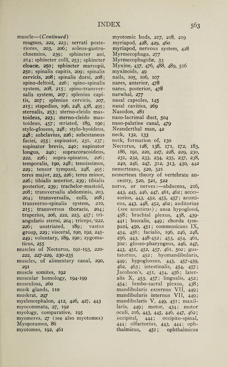 muscle— ( Continued) magnus, 222, 223; serrati poste- riores, 203, 206; soleus-gastro- chnemius, 239; sphincter ani, 214; sphincter colli, 253; sphincter cloacae, 250; sphincter marsupii, 250; spinalis capitis, 209; spinalis cervicis, 208; spinalis dorsi, 208; spino-deltoid, 226; spino-spinalis system, 208, 215; spino-transver- salis system, 207; splenius capi¬ tis, 207; splenius cervicis, 207, 215; stapedius, 196, 248, 438, 495; sternalis, 253; sterno-cleido mas- toideus, 223; sterno-cleido mas- toideus, 457; striated, 189, 190; stylo-glossus, 248; stylo-hyoideus, 248; subclavius, 226; subcutaneus faciei, 255; supinator, 231, 237; supinator brevis, 240; supinator longus, 240; supracoracoideus, 222, 226; supra-spinatus, 226; temporalis, 190, 248; tenuissimus, 229; tensor tympani, 248, 495; teres major, 223, 226; teres minor, 226; tibialis anterior, 239; tibialis posterior, 239; trachelor-mastoid, 208; transversalis abdominis, 203, 204; transversalis, colli, 208; transverso-spinalis system, 210, 215; transversus thoracis, 204; trapezius, 206, 222, 223, 457; tri¬ angularis sterni, 204; triceps,'222, 226; unstriated, 189; vastus group, 229; visceral, 190, 192, 245- 249; voluntary, 189, 190; zygoma- ticus, 255 muscles of Necturus, 191-193, 220- 222, 227-229, 230-235 muscles, of alimentary canal, 290, 291 muscle somites, 192 muscular homology, 194-199 musculosa, 260 musk glands, no muskrat, 297 myelencephalon, 412, 426, 427, 443 myocommata, 27, 192 myology, comparative, 195 myomeres, 27 (see also myotomes) Myopotamus, 86 myotomes, 192, 461 myotomic buds, 217, 218, 219 myriapod, 428, 429, 460 myriapod, nervous system, 428 Myrmecophaga, 277 Myrmecophagidae, 33 Myxine, 437, 476, 488, 489, 516 myxinoids, 49 nails, 105, 106, 107 nares, anterior, 478 nares, posterior, 478 narwhal, 277 nasal capsules, 145 nasal cavities, 269 Nasodon, 281 naso-lacrimal duct, 504 naso-palatine canal, 479 Neanderthal man, 42 neck, 132, 133 neck, formation of, 130 Necturus, 128, 138, 171, 172, 183, 186, 191, 220, 227, 228, 229, 230, 231, 232, 233, 234, 235, 237, 238, 240, 246, 247, 312, 313, 430, 442 nemerteans, 520, 521 nemertean theory of vertebrate an¬ cestry, 520, 521, 522 nerve, or nerves:—abducens, 216, 443, 445, 446, 447, 461, 462; acces¬ sorius, 443, 452, 455, 457; acusti- cus, 443, 448, 452, 462; auditorius (see acusticus) ; ansa hypoglossi, 458; brachial plexus, 438, 439- 441; buccalis, 449; chorda tym¬ pani, 450, 451; communicans IX, 454, 456; facialis, 196, 246, 248, 256, 443, 448-452; 453, 454, 461, 502; glosso-pharyngeus, 246, 247, 443, 451, 452, 457, 461, 502; gus- tatorius, 452; hyomandibularis, 449; hypoglossus, 443, 457-459, 462, 463; intestinalis, 454, 457; Jacobson’s, 451, 454, 456; later¬ alis X, 453, 457; lingualis, 452; 454; lumbo-sacral plexus, 438; mandibularis externus VII, 449; mandibularis interims VII, 449; mandibularis V, 449, 451; maxil- laris, 449; motor, 434; motor oculi, 216, 443, 445, 446, 447, 462; occipital, 444; occipito-spinal, 444; olfactorius, 443, 444; oph¬ thalmicus, 451; ophthalmicus