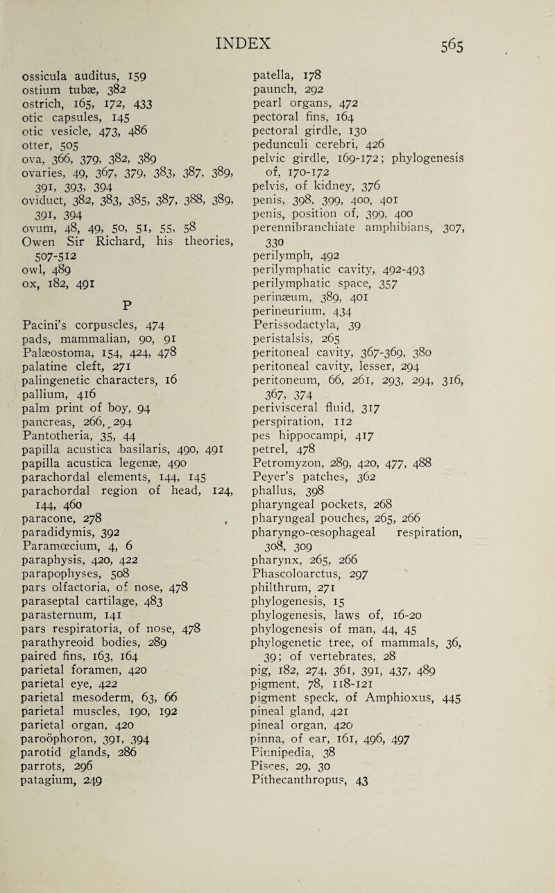 ossicula auditus, 159 ostium tubse, 382 ostrich, 165, 172, 433 otic capsules, 145 otic vesicle, 473, 486 otter, 505 ova, 366, 379* 382, 389 ovaries, 49, 367, 379, 383, 387, 389* 391* 393* 394 oviduct, 382, 383, 385* 387, 388, 389* 391, 394 ovum, 48, 49* mSO, 5h 55* 58 Owen Sir Richard, his theories, 507-512 owl, 489 ox, 182, 491 p Pacini’s corpuscles, 474 pads, mammalian, 90, 91 Palseostoma, 154, 424, 478 palatine cleft, 271 palingenetic characters, 16 pallium, 416 palm print of boy, 94 pancreas, 266,^294 Pantotheria, 35, 44 papilla acustica basilaris, 490, 491 papilla acustica legenae, 490 parachordal elements, 144, 145 parachordal region of head, 124, 144, 460 paracone, 278 paradidymis, 392 Paramcecium, 4, 6 paraphysis, 420, 422 parapophyses, 508 pars olfactoria, of nose, 478 paraseptal cartilage, 483 parasternum, 141 pars respiratoria, of nose, 478 parathyreoid bodies, 289 paired fins, 163, 164 parietal foramen, 420 parietal eye, 422 parietal mesoderm, 63, 66 parietal muscles, 190, 192 parietal organ, 420 paroophoron, 391, 394 parotid glands, 286 parrots, 296 patagium, 249 patella, 178 paunch, 292 pearl organs, 472 pectoral fins, 164 pectoral girdle, 130 pedunculi cerebri, 426 pelvic girdle, 169-172; phylogenesis of, 170-172 pelvis, of kidney, 376 penis, 398, 399, 400, 401 penis, position of, 399, 400 perennibranchiate amphibians, 307, 330 perilymph, 492 perilymphatic cavity, 492-493 perilymphatic space, 357 perinseum, 389, 401 perineurium, 434 Perissodactyla, 39 peristalsis, 265 peritoneal cavity, 367-369, 380 peritoneal cavity, lesser, 294 peritoneum, 66, 261, 293, 294, 316, 367, 374 perivisceral fluid, 317 perspiration, 112 pes hippocampi, 417 petrel, 478 Petromyzon, 289, 420, 477, 488 Peyer’s patches, 362 phallus, 398 pharyngeal pockets, 268 pharyngeal pouches, 265, 266 pharyngo-oesophageal respiration, 308, 309 pharynx, 265, 266 Phascoloarctus, 297 philthrum, 271 phylogenesis, 15 phylogenesis, laws of, 16-20 phylogenesis of man, 44, 45 phylogenetic tree, of mammals, 36, 39; of vertebrates, 28 pig, 182, 274, 361, 391, 437, 489 pigment, 78, 118-121 pigment speck, of Amphioxus, 445 pineal gland, 421 pineal organ, 420 pinna, of ear, 161, 496, 497 Pinnipedia, 38 Pisces, 29, 30 Pithecanthropus, 43