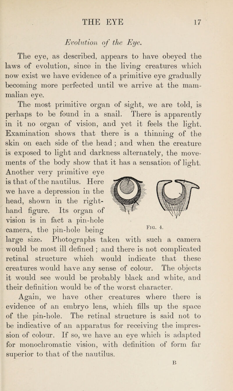 Evolution of the Eye. The eye, as described, appears to have obeyed the laws of evolution, since in the living creatures which now exist we have evidence of a primitive eye gradually becoming more perfected until we arrive at the mam¬ malian eye. The most primitive organ of sight, we are told, is perhaps to be found in a snail. There is apparently in it no organ of vision, and yet it feels the light. Examination shows that there is a thinning of the skin on each side of the head ; and when the creature is exposed to light and darkness alternately, the move¬ ments of the body show that it has a sensation of light. Another very primitive eye is that of the nautilus. Here we have a depression in the head, shown in the right- hand figure. Its organ of vision is in fact a pin-hole camera, the pin-hole being large size. Photographs taken with such a camera would be most ill defined ; and there is not complicated retinal structure which would indicate that these creatures would have any sense of colour. The objects it would see would be probably black and white, and their definition would be of the worst character. Again, we have other creatures where there is evidence of an embryo lens, which fills up the space of the pin-hole. The retinal structure is said not to be indicative of an apparatus for receiving the impres¬ sion of colour. If so, we have an eye which is adapted for monochromatic vision, with definition of form far superior to that of the nautilus. B