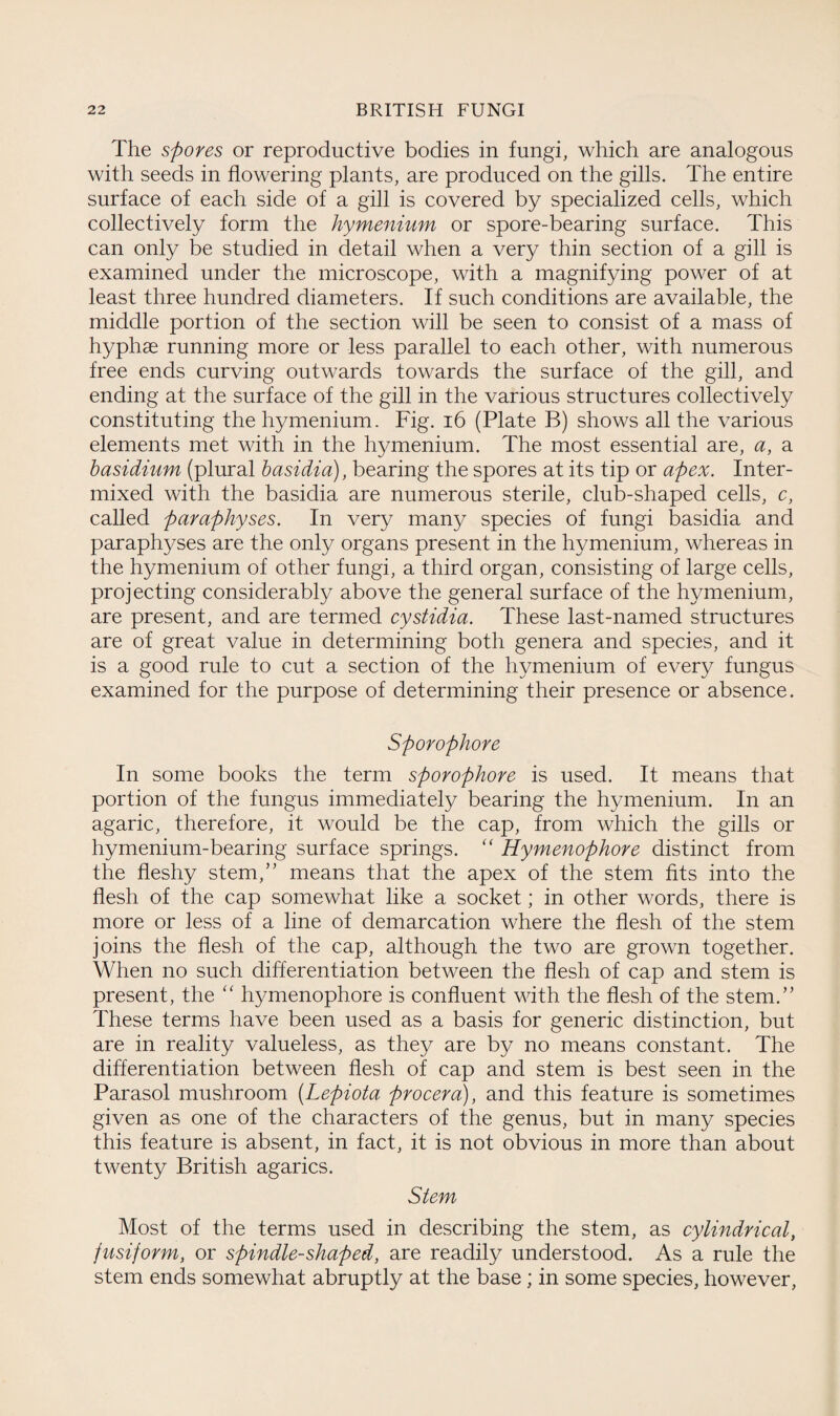 The spores or reproductive bodies in fungi, which are analogous with seeds in flowering plants, are produced on the gills. The entire surface of each side of a gill is covered by specialized cells, which collectively form the hymenium or spore-bearing surface. This can only be studied in detail when a very thin section of a gill is examined under the microscope, with a magnifying power of at least three hundred diameters. If such conditions are available, the middle portion of the section will be seen to consist of a mass of hyphae running more or less parallel to each other, with numerous free ends curving outwards towards the surface of the gill, and ending at the surface of the gill in the various structures collectively constituting the hymenium. Fig. 16 (Plate B) shows all the various elements met with in the hymenium. The most essential are, a, a basidium (plural basidia), bearing the spores at its tip or apex. Inter¬ mixed with the basidia are numerous sterile, club-shaped cells, c, called paraphyses. In very many species of fungi basidia and paraphyses are the only organs present in the hymenium, whereas in the hymenium of other fungi, a third organ, consisting of large cells, projecting considerably above the general surface of the hymenium, are present, and are termed cystidia. These last-named structures are of great value in determining both genera and species, and it is a good rule to cut a section of the hymenium of every fungus examined for the purpose of determining their presence or absence. Sporophore In some books the term sporophore is used. It means that portion of the fungus immediately bearing the hymenium. In an agaric, therefore, it would be the cap, from which the gills or hymenium-bearing surface springs. “ Hymenophore distinct from the fleshy stem,” means that the apex of the stem fits into the flesh of the cap somewhat like a socket; in other words, there is more or less of a line of demarcation where the flesh of the stem joins the flesh of the cap, although the two are grown together. When no such differentiation between the flesh of cap and stem is present, the “ hymenophore is confluent with the flesh of the stem.” These terms have been used as a basis for generic distinction, but are in reality valueless, as they are by no means constant. The differentiation between flesh of cap and stem is best seen in the Parasol mushroom (Lepiota procera), and this feature is sometimes given as one of the characters of the genus, but in many species this feature is absent, in fact, it is not obvious in more than about twenty British agarics. Stem Most of the terms used in describing the stem, as cylindrical, fusiform, or spindle-shaped, are readily understood. As a rule the stem ends somewhat abruptly at the base; in some species, however,