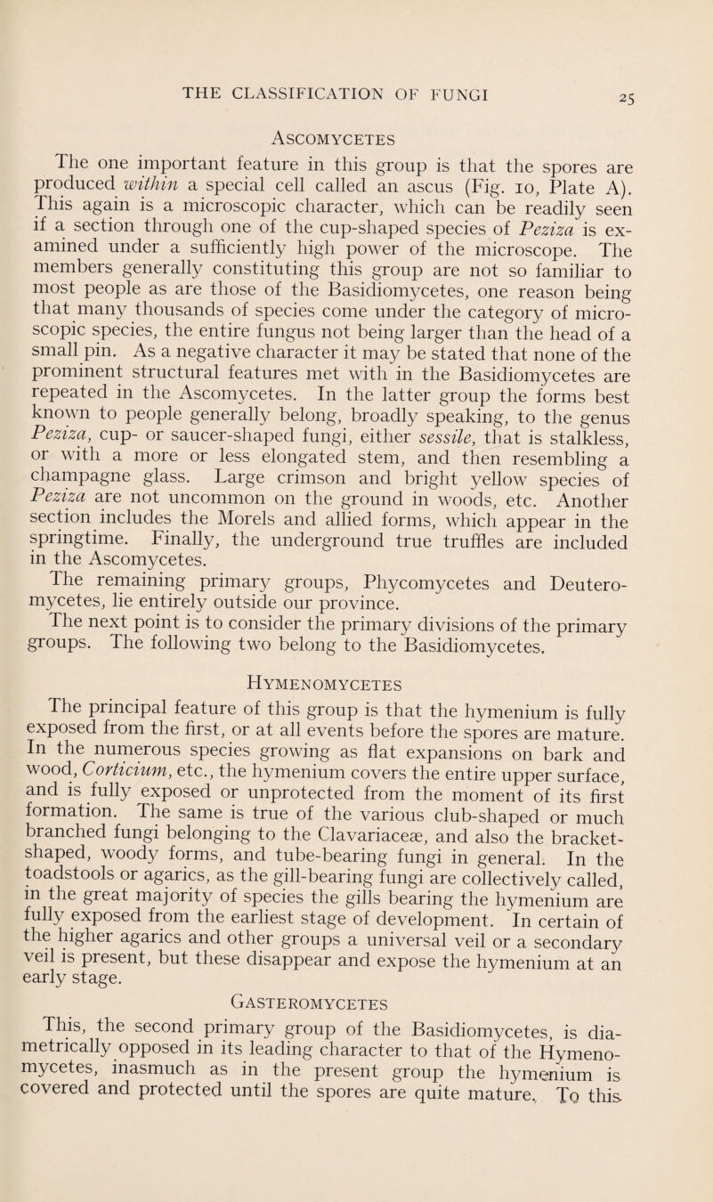 Ascomycetes The one important feature in this group is that the spores are produced within a special cell called an ascus (Fig. 10, Plate A). This again is a microscopic character, which can be readily seen if a section through one of the cup-shaped species of Peziza is ex¬ amined under a sufficiently high power of the microscope. The members generally constituting this group are not so familiar to most people as are those of the Basidiomycetes, one reason being that many thousands of species come under the category of micro¬ scopic species, the entire fungus not being larger than the head of a small pin. As a negative character it may be stated that none of the prominent structural features met with in the Basidiomycetes are repeated in the Ascomycetes. In the latter group the forms best known to people generally belong, broadly speaking, to the genus Peziza, cup- or saucer-shaped fungi, either sessile, that is stalkless, or with a more or less elongated stem, and then resembling a champagne glass. Targe crimson and bright yellow species of Peziza are not uncommon on the ground in woods, etc. Another section includes the Morels and allied forms, which appear in the springtime. Finally, the underground true truffles are included in the Ascomycetes. The remaining primary groups, Phycomycetes and Deutero- mycetes, lie entirely outside our province. The next point is to consider the primary divisions of the primary groups. The following two belong to the Basidiomycetes. Hymenomycetes The principal feature of this group is that the hymenium is fully exposed from the first, or at all events before the spores are mature. In the numerous species growing as flat expansions on bark and wood, Corticium, etc., the hymenium covers the entire upper surface, and is fully exposed or unprotected from the moment of its first formation. The same is true of the various club-shaped or much branched fungi belonging to the Clavariaceae, and also the bracket¬ shaped, woody forms, and tube-bearing fungi in general. In the toadstools or agarics, as the gill-bearing fungi are collectively called, in the great majority of species the gills bearing the hymenium are fully exposed from the earliest stage of development. In certain of the higher agarics and other groups a universal veil or a secondary veil is present, but these disappear and expose the hymenium at an early stage. Gasteromycetes This, the second primary group of the Basidiomycetes, is dia¬ metrically opposed in its leading character to that of the Hymeno- mycetes, inasmuch as in the present group the hymonium is covered and protected until the spores are quite mature.. To this