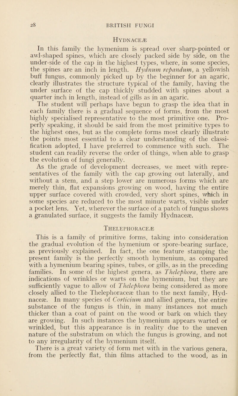 HYDNACE.E In this family the hymenium is spread over sharp-pointed or awl-shaped spines, which are closely packed side by side, on the under-side of the cap in the highest types, where, in some species, the spines are an inch in length. Hydnum repandum, a yellowish buff fungus, commonly picked up by the beginner for an agaric, clearly illustrates the structure typical of the family, having the under surface of the cap thickly studded with spines about a quarter inch in length, instead of gills as in an agaric. The student will perhaps have begun to grasp the idea that in each family there is a gradual sequence of forms, from the most highly specialised representative to the most primitive one. Pro¬ perty speaking, it should be said from the most primitive types to the highest ones, but as the complete forms most clearly illustrate the points most essential to a clear understanding of the classi¬ fication adopted, I have preferred to commence with such. The student can readily reverse the order of things, when able to grasp the evolution of fungi generally. As the grade of development decreases, we meet with repre¬ sentatives of the family with the cap growing out laterally, and without a stem, and a step lower are numerous forms which are merely thin, flat expansions growing on wood, having the entire upper surface covered with crowded, very short spines, which in some species are reduced to the most minute warts, visible under a pocket lens. Yet, wherever the surface of a patch of fungus shows a granulated surface, it suggests the family Hydnaceae. Thelephorace^e This is a family of primitive forms, taking into consideration the gradual evolution of the hymenium or spore-bearing surface, as previously explained. In fact, the one feature stamping the present family is the perfectly smooth hymenium, as compared with a hymenium bearing spines, tubes, or gills, as in the preceding families. In some of the highest genera, as Thelephora, there are indications of wrinkles or warts on the hymenium, but they are sufficiently vague to allow of Thelephora being considered as more closely allied to the Thelephoraceae than to the next family, Hyd- naceas. In many species of Corticium and allied genera, the entire substance of the fungus is thin, in many instances not much thicker than a coat of paint on the wood or bark on which they are growing. In such instances the hymenium appears warted or wrinkled, but this appearance is in reality due to the uneven nature of the substratum on which the fungus is growing, and not to any irregularity of the hymenium itself. There is a great variety of form met with in the various genera, from the perfectly flat, thin films attached to the wood, as in
