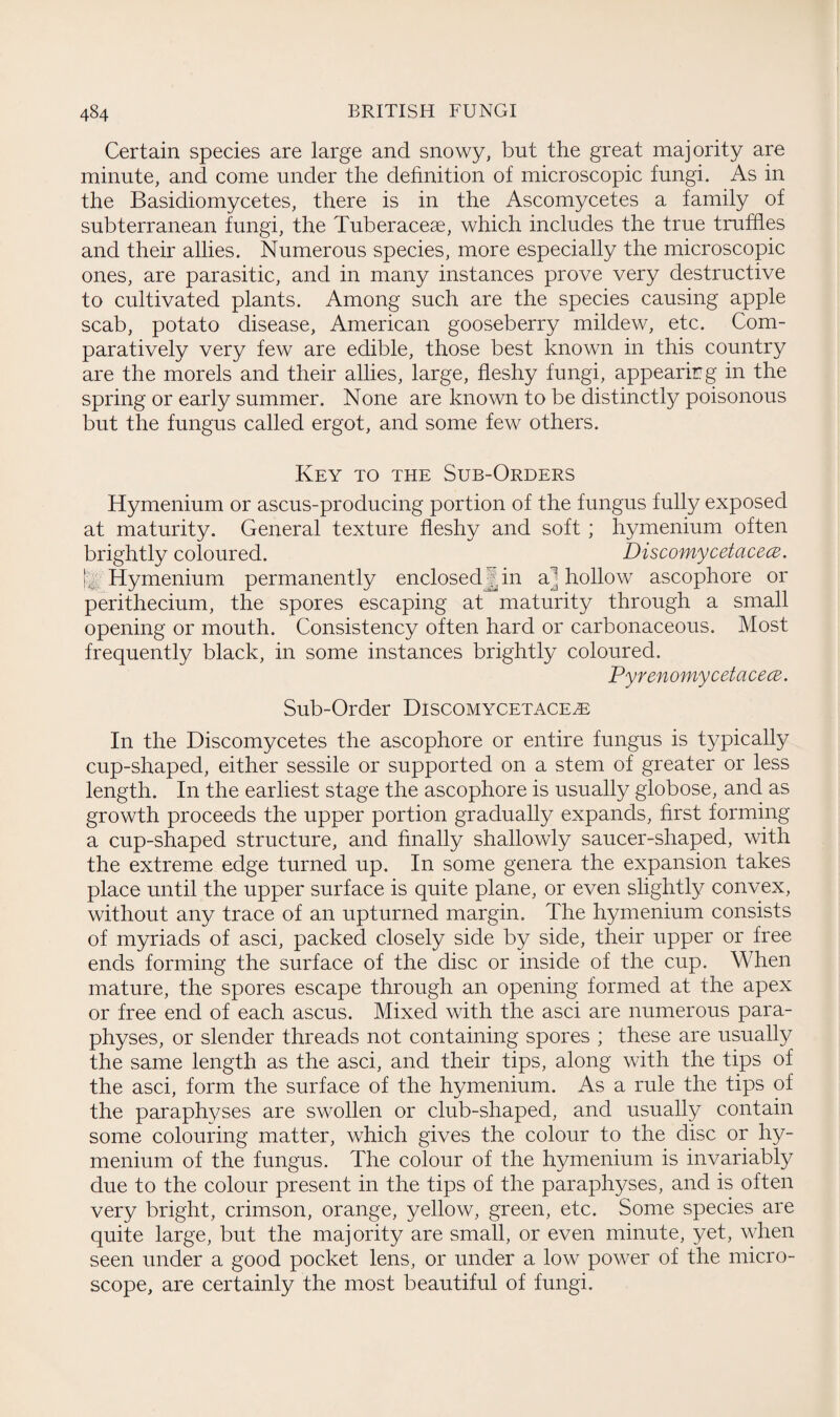 Certain species are large and snowy, but the great majority are minute, and come under the definition of microscopic fungi. As in the Basidiomycetes, there is in the Ascomycetes a family of subterranean fungi, the Tuberaceae, which includes the true truffles and their allies. Numerous species, more especially the microscopic ones, are parasitic, and in many instances prove very destructive to cultivated plants. Among such are the species causing apple scab, potato disease, American gooseberry mildew, etc. Com¬ paratively very few are edible, those best known in this country are the morels and their allies, large, fleshy fungi, appearing in the spring or early summer. None are known to be distinctly poisonous but the fungus called ergot, and some few others. Key to the Sub-Orders Hymenium or ascus-producing portion of the fungus fully exposed at maturity. General texture fleshy and soft ; hymenium often brightly coloured. Discomycetacece. v Hymenium permanently enclosed Jin a hollow ascophore or perithecium, the spores escaping at maturity through a small opening or mouth. Consistency often hard or carbonaceous. Most frequently black, in some instances brightly coloured. PyrenomycetacecB. Sub-Order Discomycetacece In the Discomycetes the ascophore or entire fungus is typically cup-shaped, either sessile or supported on a stem of greater or less length. In the earliest stage the ascophore is usually globose, and as growth proceeds the upper portion gradually expands, first forming a cup-shaped structure, and finally shallowly saucer-shaped, with the extreme edge turned up. In some genera the expansion takes place until the upper surface is quite plane, or even slightly convex, without any trace of an upturned margin. The hymenium consists of myriads of asci, packed closely side by side, their upper or free ends forming the surface of the disc or inside of the cup. When mature, the spores escape through an opening formed at the apex or free end of each ascus. Mixed with the asci are numerous para- physes, or slender threads not containing spores ; these are usually the same length as the asci, and their tips, along with the tips of the asci, form the surface of the hymenium. As a rule the tips of the paraphyses are swollen or club-shaped, and usually contain some colouring matter, which gives the colour to the disc or hy¬ menium of the fungus. The colour of the hymenium is invariably due to the colour present in the tips of the paraphyses, and is often very bright, crimson, orange, yellow, green, etc. Some species are quite large, but the majority are small, or even minute, yet, when seen under a good pocket lens, or under a low power of the micro¬ scope, are certainly the most beautiful of fungi.