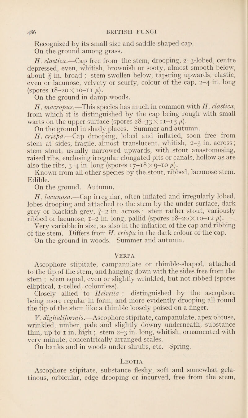 Recognized by its small size and saddle-shaped cap. On the ground among grass. H. elastica.—Cap free from the stem, drooping, 2-3-lobed, centre depressed, even, whitish, brownish or sooty, almost smooth below, about f in. broad ; stem swollen below, tapering upwards, elastic, even or lacunose, velvety or scurfy, colour of the cap, 2-4 in. long (spores 18-20x10-11 y). On the ground in damp woods. H. macropus.—This species has much in common with H. elastica, from which it is distinguished by the cap being rough with small warts on the upper surface (spores 28-33 X11-13 y). O11 the ground in shady places. Summer and autumn. H. crispa.—Cap drooping, lobed and inflated, soon free from stem at sides, fragile, almost translucent, whitish, 2-3 in. across; stem stout, usually narrowed upwards, with stout anastomosing, raised ribs, enclosing irregular elongated pits or canals, hollow as are also the ribs, 3-4 in. long (spores 17-18 x 9-10 y). Known from all other species by the stout, ribbed, lacunose stem. Edible. On the ground. Autumn. H. lacunosa.—Cap irregular, often inflated and irregularly lobed, lobes drooping and attached to the stem by the under surface, dark grey or blackish grey, f-2 in. across ; stem rather stout, variously ribbed or lacunose, 1-2 in. long, pallid (spores 18-20x10-12 y). Very variable in size, as also in the inflation of the cap and ribbing of the stem. Differs from H. crispa in the dark colour of the cap. On the ground in woods. Summer and autumn. Verpa Ascophore stipitate, campanulate or thimble-shaped, attached to the tip of the stem, and hanging down with the sides free from the stem ; stem equal, even or slightly wrinkled, but not ribbed (spores elliptical, i-celled, colourless). Closely allied to Helvetia; distinguished by the ascophore being more regular in form, and more evidently drooping all round the tip of the stem like a thimble loosely poised on a finger. V. digitaliformis.—Ascophore stipitate, campanulate, apex obtuse, wrinkled, umber, pale and slightly downy underneath, substance thin, up to 1 in. high ; stem 2-3 in. long, whitish, ornamented with very minute, concentrically arranged scales. O11 banks and in woods under shrubs, etc. Spring. Leotia Ascophore stipitate, substance fleshy, soft and somewhat gela¬ tinous, orbicular, edge drooping or incurved, free from the stem,