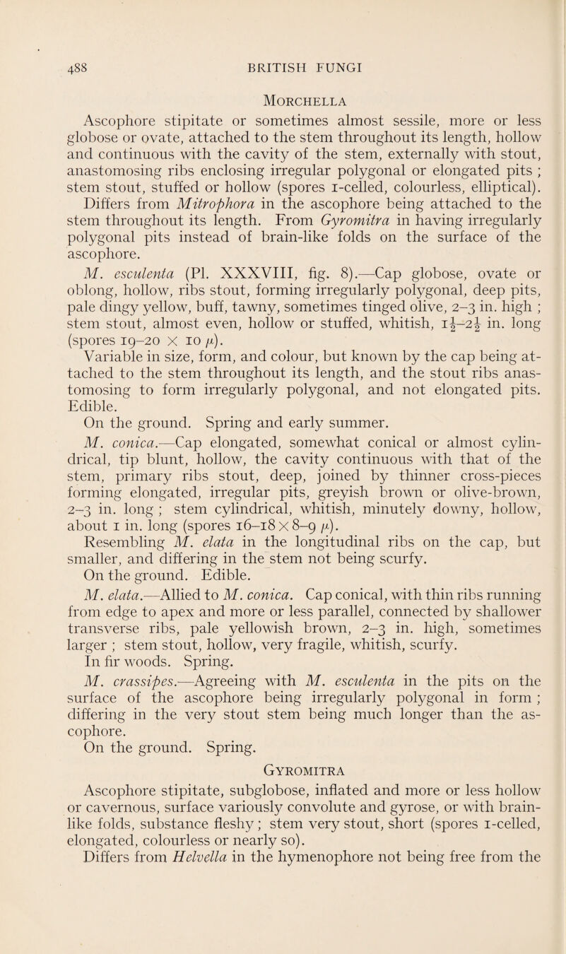 Morchella Ascophore stipitate or sometimes almost sessile, more or less globose or ovate, attached to the stem throughout its length, hollow and continuous with the cavity of the stem, externally with stout, anastomosing ribs enclosing irregular polygonal or elongated pits ; stem stout, stuffed or hollow (spores i-celled, colourless, elliptical). Differs from Mitrophora in the ascophore being attached to the stem throughout its length. From Gyromitra in having irregularly polygonal pits instead of brain-like folds on the surface of the ascophore. M. esculenta (PI. XXXVIII, fig. 8).-—Cap globose, ovate or oblong, hollow, ribs stout, forming irregularly polygonal, deep pits, pale dingy yellow, buff, tawny, sometimes tinged olive, 2-3 in. high ; stem stout, almost even, hollow or stuffed, whitish, if-2| in. long (spores 19-20 x 10 /x). Variable in size, form, and colour, but known by the cap being at¬ tached to the stem throughout its length, and the stout ribs anas¬ tomosing to form irregularly polygonal, and not elongated pits. Edible. On the ground. Spring and early summer. M. conica.—Cap elongated, somewhat conical or almost cylin¬ drical, tip blunt, hollow, the cavity continuous with that of the stem, primary ribs stout, deep, joined by thinner cross-pieces forming elongated, irregular pits, greyish brown or olive-brown, 2-3 in. long ; stem cylindrical, whitish, minutely downy, hollow, about 1 in. long (spores 16-18x8-9 /x). Resembling M. data in the longitudinal ribs on the cap, but smaller, and differing in the stem not being scurfy. On the ground. Edible. M. elata.—Allied to M. conica. Cap conical, with thin ribs running from edge to apex and more or less parallel, connected by shallower transverse ribs, pale yellowish brown, 2-3 in. high, sometimes larger ; stem stout, hollow, very fragile, whitish, scurfy. In hr woods. Spring. M. crassipes.—Agreeing with M. esculenta in the pits on the surface of the ascophore being irregularly polygonal in form ; differing in the very stout stem being much longer than the as¬ cophore. On the ground. Spring. Gyromitra Ascophore stipitate, subglobose, inflated and more or less hollow or cavernous, surface variously convolute and gyrose, or with brain¬ like folds, substance fleshy ; stem very stout, short (spores 1-celled, elongated, colourless or nearly so). Differs from Helvetia in the hymenophore not being free from the