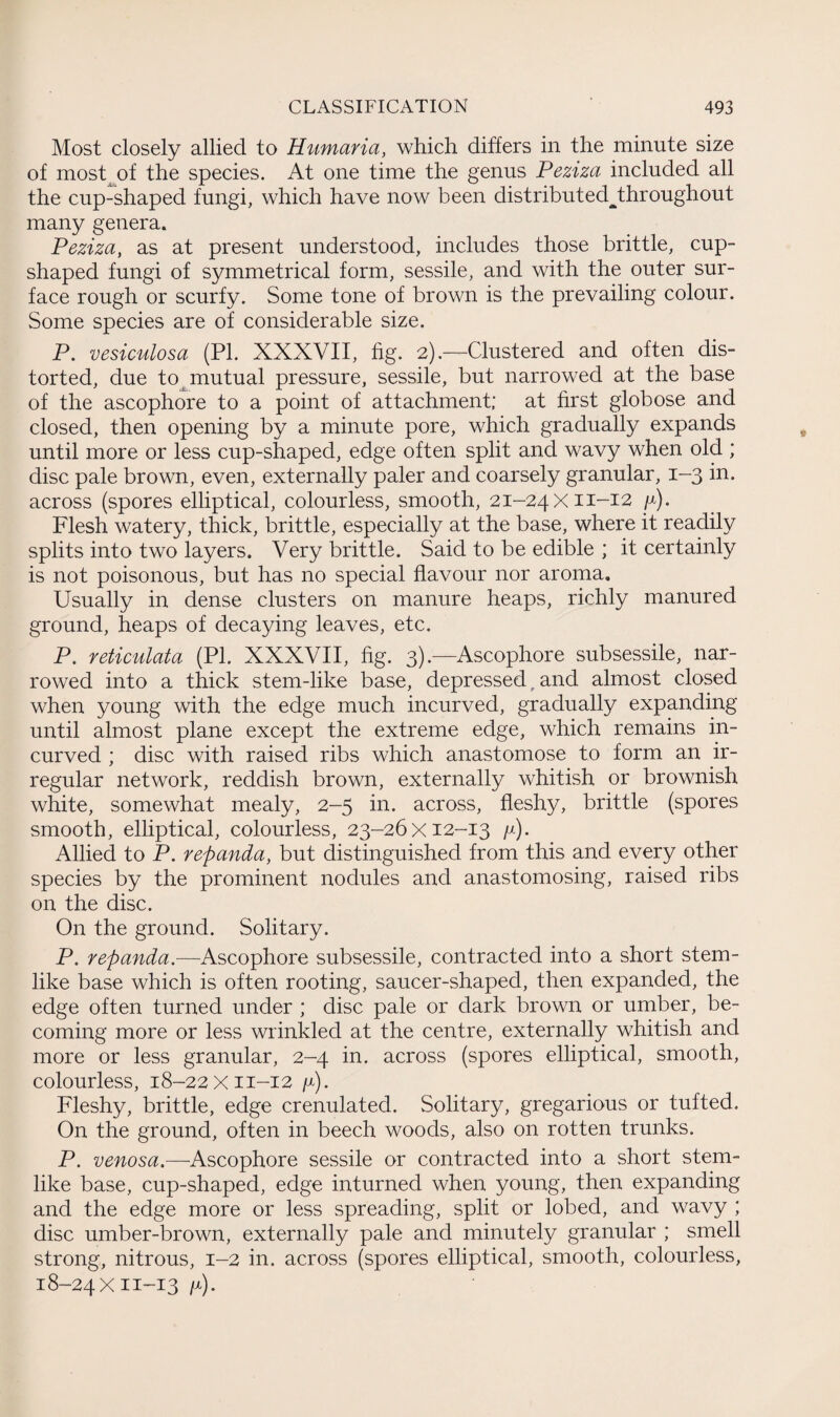 Most closely allied to Humana, which differs in the minute size of most of the species. At one time the genus Peziza included all the cup-shaped fungi, which have now been distributed^throughout many genera. Peziza, as at present understood, includes those brittle, cup¬ shaped fungi of symmetrical form, sessile, and with the outer sur¬ face rough or scurfy. Some tone of brown is the prevailing colour. Some species are of considerable size. P. vesiculosa (PL XXXVII, fig. 2).—Clustered and often dis¬ torted, due to mutual pressure, sessile, but narrowed at the base of the ascophore to a point of attachment; at first globose and closed, then opening by a minute pore, which gradually expands until more or less cup-shaped, edge often split and wavy when old ; disc pale brown, even, externally paler and coarsely granular, 1—3 in. across (spores elliptical, colourless, smooth, 21-24x11-12 y). Flesh watery, thick, brittle, especially at the base, where it readily splits into two layers. Very brittle. Said to be edible ; it certainly is not poisonous, but has no special flavour nor aroma. Usually in dense clusters on manure heaps, richly manured ground, heaps of decaying leaves, etc. P. reticulata (PI. XXXVII, fig. 3) .—Ascophore subsessile, nar¬ rowed into a thick stem-like base, depressed. and almost closed when young with the edge much incurved, gradually expanding until almost plane except the extreme edge, which remains in¬ curved ; disc with raised ribs which anastomose to form an ir¬ regular network, reddish brown, externally whitish or brownish white, somewhat mealy, 2-5 in. across, fleshy, brittle (spores smooth, elliptical, colourless, 23-26x12-13 y). Allied to P. repanda, but distinguished from this and every other species by the prominent nodules and anastomosing, raised ribs on the disc. On the ground. Solitary. P. repanda.—Ascophore subsessile, contracted into a short stem¬ like base which is often rooting, saucer-shaped, then expanded, the edge often turned under ; disc pale or dark brown or umber, be¬ coming more or less wrinkled at the centre, externally whitish and more or less granular, 2-4 in. across (spores elliptical, smooth, colourless, 18-22x11-12 y). Fleshy, brittle, edge crenulated. Solitary, gregarious or tufted. On the ground, often in beech woods, also on rotten trunks. P. venosa.—Ascophore sessile or contracted into a short stem¬ like base, cup-shaped, edge inturned when young, then expanding and the edge more or less spreading, split or lobed, and wavy ; disc umber-brown, externally pale and minutely granular ; smell strong, nitrous, 1-2 in. across (spores elliptical, smooth, colourless, 18-24x11-13 y).
