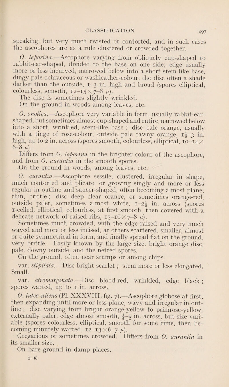 speaking, but very much twisted or contorted, and in such cases the ascophores are as a rule clustered or crowded together. 0. leporina.—Ascophore varying from obliquely cup-shaped to rabbit-ear-shaped, divided to the base on one side, edge usually more or less incurved, narrowed below into a short stem-like base, dingy pale ochraceous or washleather-colour, the disc often a shade darker than the outside, 1-3 in. high and broad (spores elliptical, colourless, smooth, 12-15x7-8 y). The disc is sometimes slightly wrinkled. On the ground in woods among leaves, etc. 0. onotica.—Ascophore very variable in form, usually rabbit-ear¬ shaped, but sometimes almost cup-shaped and entire, narrowed below into a short, wrinkled, stem-like base ; disc pale orange, usually with a tinge of rose-colour, outside pale tawny orange, 1^-3 in. high, up to 2 in. across (spores smooth, colourless, elliptical, 10-14 x 6-8 y). Differs from 0. leporina in the brighter colour of the ascophore, and from 0. aurantia in the smooth spores. On the ground in woods, among leaves, etc. 0. aurantia.—Ascophore sessile, clustered, irregular in shape, much contorted and plicate, or growing singly and more or less regular in outline and saucer-shaped, often becoming almost plane, thin, brittle ; disc deep clear orange, or sometimes orange-red, outside paler, sometimes almost white, 1-2J in. across (spores i-celled, elliptical, colourless, at first smooth, then covered with a delicate network of raised ribs, 15-16x7-8 y). Sometimes much crowded, with the edge raised and very much waved and more or less incised, at others scattered, smaller, almost or quite symmetrical in form, and finally spread fiat on the ground, very brittle. Easily known by the large size, bright orange disc, pale, downy outside, and the netted spores. On the ground, often near stumps or among chips. var. stipitata.—Disc bright scarlet ; stem more or less elongated. Small. var. atromarginata.—Disc blood-red, wrinkled, edge black ; spores warted, up to 1 in. across. 0. luteo-nitens (PI. XXXVIII, fig. 7).—Ascophore globose at first, then expanding until more or less plane, wavy and irregular in out¬ line ; disc varying from bright orange-yellow to primrose-yellow, externally paler, edge almost smooth, J-f in. across, but size vari¬ able (spores colourless, elliptical, smooth for some time, then be¬ coming minutely warted, 12-13x6-7 y). Gregarious or sometimes crowded. Differs from 0. aurantia in its smaller size. On bare ground in damp places. 2 K