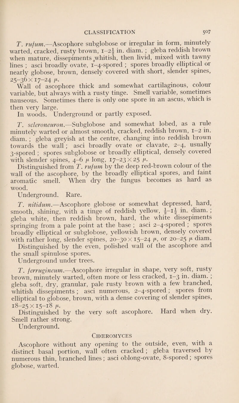 T. rufum.—Ascophore subglobose or irregular in form, minutely warted, cracked, rusty brown, 1-2 J in. diam. ; gleba reddish brown when mature, dissepiments whitish, then livid, mixed with tawny lines ; asci broadly ovate, 1-4-spored ; spores broadly elliptical or nearly globose, brown, densely covered with short, slender spines, 25-36x17-24 /x. Wall of ascophore thick and somewhat cartilaginous, colour variable, but always with a rusty tinge. Smell variable, sometimes nauseous. Sometimes there is only one spore in an ascus, which is then very large. In woods. Underground or partly exposed. T. scleroneuron.—Subglobose and somewhat lobed, as a rule minutely warted or almost smooth, cracked, reddish brown, 1-2 in. diam. ; gleba greyish at the centre, changing into reddish brown towards the wall ; asci broadly ovate or clavate, 2-4, usually 3-spored ; spores subglobose or broadly elliptical, densely covered with slender spines, 4-6 y long, 17-23 X 25 y. Distinguished from T. rufum by the deep red-brown colour of the wall of the ascophore, by the broadly elliptical spores, and faint aromatic smell. When dry the fungus becomes as hard as wood. Underground. Rare. T. nitidum.—Ascophore globose or somewhat depressed, hard, smooth, shining, with a tinge of reddish yellow, J-iJ in. diam. ; gleba white, then reddish brown, hard, the white dissepiments springing from a pale point at the base ; asci 2—4-spored ; spores broadly elliptical or subglobose, yellowish brown, densely covered with rather long, slender spines, 20-30x15-24 lx, or 20-25 /x diam. Distinguished by the even, polished wall of the ascophore and the small spinulose spores. Underground under trees. T. ferrugineum.—Ascophore irregular in shape, yery soft, rusty brown, minutely warted, often more or less cracked, 1—3 in. diam. ; gleba soft, dry, granular, pale rusty brown with a few branched, whitish dissepiments ; asci numerous, 2-4-spored; spores from elliptical to globose, brown, with a dense covering of slender spines, 18-25x15-18 /x. Distinguished by the very soft ascophore. Hard when dry. Smell rather strong. Underground. Chceromyces Ascophore without any opening to the outside, even, with a distinct basal portion, wall often cracked ; gleba traversed by numerous thin, branched lines ; asci oblong-ovate, 8-spored ; spores globose, warted.