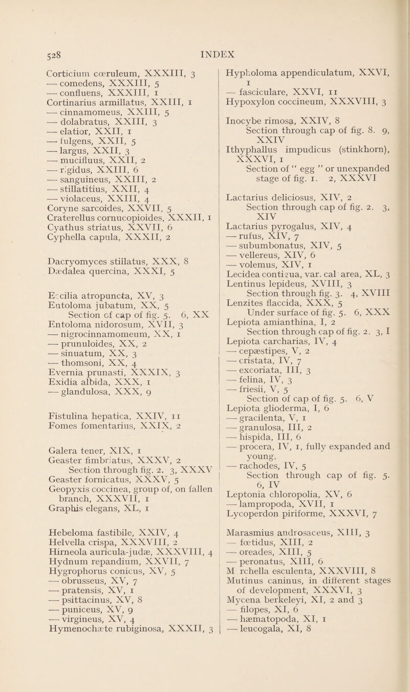 Corticium coeruleum, XXXIII, 3 -—- comedens, XXXIII, 5 —- confluens, XXXIII, 1 Cortinarius armillatus, XXIII, 1 — cinnamomeus, XXIII, 5 —- dolabratus, XXIII, 3 — elatior, XXII, 1 —• fulgens, XXII, 5 — largus, XXII, 3 — mucifluus, XXII, 2 — rigidus, XXIII, 6 — sanguineus, XXIII, 2 — stillatitius, XXII, 4 — violaceus, XXIII, 4 Coryne sarcoides, XXVII, 5 Craterellus cornucopioides, XXXII, 1 Cyathus striatus, XXVII, 6 Cyphella capula, XXXII, 2 Dacryomyces stiilatus, XXX, 8 Daedalea quercina, XXXI, 5 Ec cilia atropuncta, XV, 3 Entoloma jubatum, XX, 5 Section of cap of fig. 5. 6, XX Entoloma nidorosum, XVII, 3 — nigrocinnamomeum, XX, 1 — prunuloides, XX, 2 — sinuatum, XX, 3 — thomsoni, XX, 4 Evernia prunasti, XXXIX, 3 Exidia albida, XXX, 1 -— glandulosa, XXX, 9 Fistulina hepatica, XXIV, 11 Fomes fomentarius, XXIX, 2 Galera tener, XIX, 1 Geaster fimbriatus, XXXV, 2 Section through fig. 2. 3, XXXV Geaster fornicatus, XXXV, 5 Geopyxis coccinea, group of, on fallen branch, XXXVII, 1 Graphis elegans, XL, 1 Hebeloma fastibile, XXIV, 4 Helvella crispa, XXXVIII, 2 Hirneola auricula-judae, XXXVIII, 4 Hydnum repandium, XXVII, 7 Hygrophorus conicus, XV, 5 •—- obrusseus, XV, 7 — pratensis, XV, 1 — psittacinus, XV, 8 — puniceus, XV, 9 -—- virgineus, XV, 4 Hymenochsete rubiginosa, XXXII, 3 Hypholoma appendiculatum, XXVI, 1 — fasciculare, XXVI, 11 Hypoxylon coccineum, XXXVIII, 3 Inocybe rimosa, XXIV, 8 Section through cap of fig. 8. 9, XXIV Ithyphallus impudicus (stinkhorn), XXXVI, i Section of “ egg ” or unexpanded stage of fig. 1. 2, XXXVI Lactarius deliciosus, XIV, 2 Section through cap of fig. 2. 3, XIV Lactarius pyrogalus, XIV, 4 — rufus, XIV, 7 — subumbonatus, XIV, 5 — vellereus, XIV, 6 — volemus, XIV, 1 Lecidea conti?ua, var. cal area, XL, 3 Lentinus lepideus, XVIII, 3 Section through fig. 3. 4, XVIII Lenzites flaccida, XXX, 5 Under surface of fig. 5. 6, XXX Lepiota amianthina, I, 2 Section through cap of fig. 2. 3, I Lepiota carcharias, IV, 4 —- cepasstipes, V, 2 —- cristata, IV, 7 —• excoriata, III, 3 — felina, IV, 3 —-friesii, V, 5 Section of cap of fig. 5. 6, V Lepiota glioderma, I, 6 —- gracilenta, V, 1 —- granulosa, III, 2 — hispida, III, 6 — procera, IV, 1, fully expanded and young. — rachodes, IV, 5 Section through cap of fig. 5. 6, IV Leptonia chloropolia, XV, 6 — lampropoda, XVII, 1 Lycoperdon piriforme, XXXVI, 7 Marasmius androsaceus, XIII, 3 — foetidus, XIII, 2 — oreades, XIII, 5 — peronatus, XIII, 6 M rchella esculenta, XXXVIII, 8 Mutinus caninus, in different stages of development, XXXVI, 3 Mycena berkeleyi, XI, 2 and 3 — filopes, XI, 6 —■ haematopoda, XI, 1 -— leucogala, XI, 8