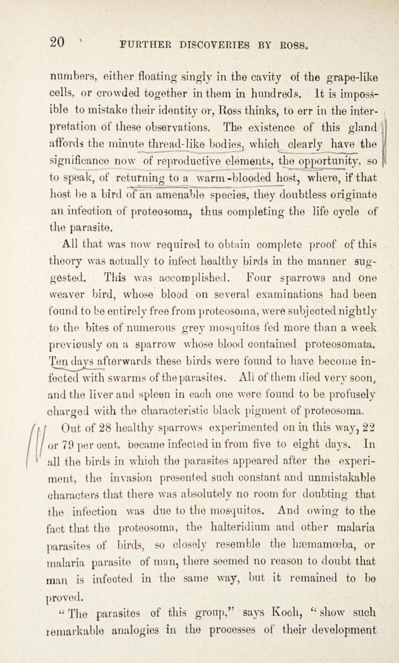 numbers, either floating singly in the cavity of the grape-like cells, or crowded together in them in hundreds, it is imposs¬ ible to mistake their identity or, Ross thinks, to err in the inter¬ pretation of these observations. The existence of this gland affords the minute thread-like bodies, which clearly have the significance now of reproductive elements, the opportunity, so to speak, of returning to a warm -blooded host, where, if that host be a bird of an amenable species, they doubtless originate an infection of proteosoma, thus completing the life cycle of the parasite. All that was now required to obtain complete proof of this theory was actually to infect healthy birds in the manner sug¬ gested. This was accomplished. Four sparrows and one weaver bird, whose blood on several examinations had been found to be entirely free from proteosoma, were subjected nightly to the bites of numerous grey mosquitos fed more than a week previously on a sparrow whose blood contained proteosomata. Toil days afterwards these birds were found to have become in¬ fected with swarms of the parasites. All of them died very soon, and the liver and spleen in each one were found to be profusely charged with the characteristic black pigment of proteosoma. Out of 28 healthy sparrows experimented on in this way, 22 or 79 per cent, became infected in from five to eight days. In all the birds in which the parasites appeared after the experi¬ ment, the invasion presented such constant and unmistakable characters that there was absolutely no room for doubting that the infection was due to the mosquitos. And owing to the fact that the proteosoma, the halteridium and other malaria parasites of birds, so closely resemble the haem amoeba, or malaria parasite of man, there seemed no reason to doubt that man is infected in the same way, but it remained to be “ The parasites of this group,” says Koch, “ show such remarkable analogies in the processes of their development