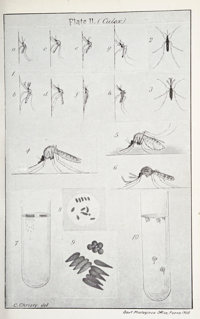 riqfe 11. ( Cu/evJ ff> C, Christr. 43® Got/? P/?ofo$/r?co O/f/ce, Poona /S00.