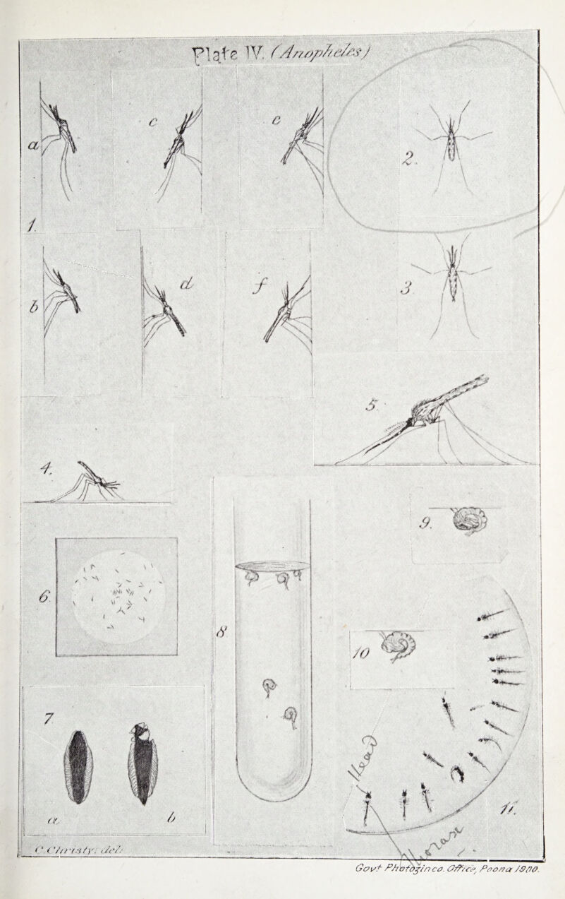 •<*r^ IW; -# % * *.< VV/Y.-y/r/ //y/-