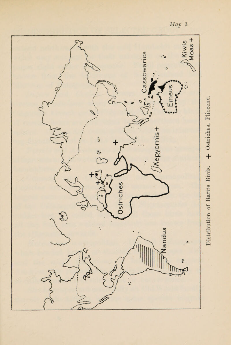 Distribution of Katite Birds. + Ostriches, Pliocene.