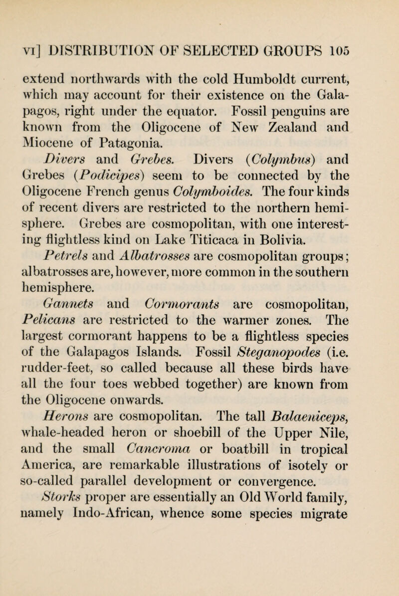 extend northwards with the cold Humboldt current, which may account for their existence on the Gala¬ pagos, right under the equator. Fossil penguins are known from the Oligocene of New Zealand and Miocene of Patagonia. Divers and Grebes. Divers (Colymbus) and Grebes (Podicipes) seem to be connected by the Oligocene French genus Colymboides. The four kinds of recent divers are restricted to the northern hemi¬ sphere. Grebes are cosmopolitan, with one interest¬ ing flightless kind on Lake Titicaca in Bolivia. Petrels and Albatrosses are cosmopolitan groups; albatrosses are, however, more common in the southern hemisphere. Gannets and Cormorants are cosmopolitan, Pelicans are restricted to the warmer zones. The largest cormorant happens to be a flightless species of the Galapagos Islands. Fossil Steganopodes (i.e. rudder-feet, so called because all these birds have all the four toes webbed together) are known from the Oligocene onwards. Herons are cosmopolitan. The tall Balaeniceps, whale-headed heron or shoebill of the Upper Nile, and the small Cancroma or boatbill in tropical America, are remarkable illustrations of isotelv or so-called parallel development or convergence. titorks proper are essentially an Old World family, namely Indo-Afriean, whence some species migrate