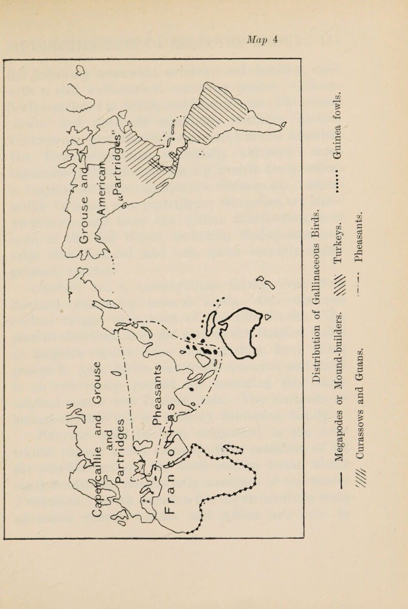 Map 4