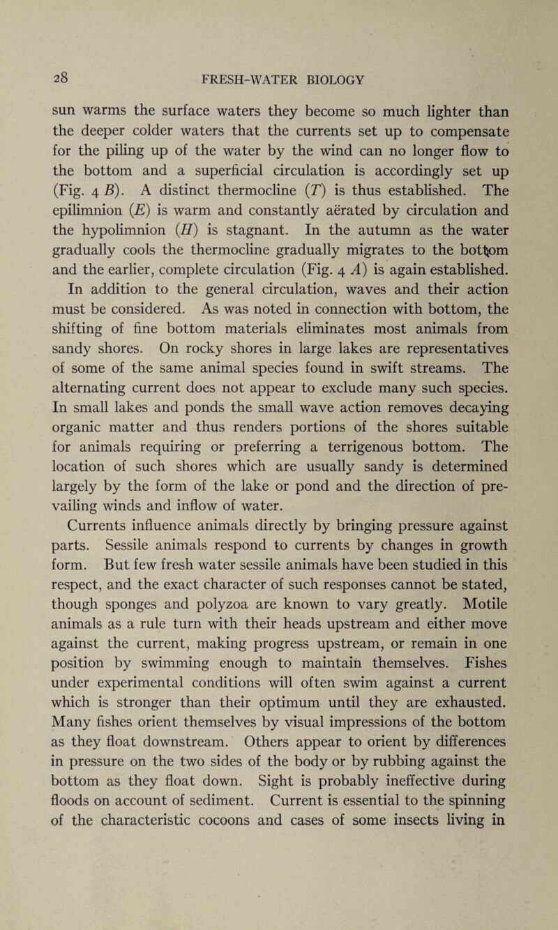 sun warms the surface waters they become so much lighter than the deeper colder waters that the currents set up to compensate for the piling up of the water by the wind can no longer flow to the bottom and a superficial circulation is accordingly set up (Fig. 4 B). A distinct thermocline (T) is thus established. The epilimnion (E) is warm and constantly aerated by circulation and the hypolimnion (H) is stagnant. In the autumn as the water gradually cools the thermocline gradually migrates to the bottom and the earlier, complete circulation (Fig. 4 A) is again established. In addition to the general circulation, waves and their action must be considered. As was noted in connection with bottom, the shifting of fine bottom materials eliminates most animals from sandy shores. On rocky shores in large lakes are representatives of some of the same animal species found in swift streams. The alternating current does not appear to exclude many such species. In small lakes and ponds the small wave action removes decaying organic matter and thus renders portions of the shores suitable for animals requiring or preferring a terrigenous bottom. The location of such shores which are usually sandy is determined largely by the form of the lake or pond and the direction of pre¬ vailing winds and inflow of water. Currents influence animals directly by bringing pressure against parts. Sessile animals respond to currents by changes in growth form. But few fresh water sessile animals have been studied in this respect, and the exact character of such responses cannot be stated, though sponges and polyzoa are known to vary greatly. Motile animals as a rule turn with their heads upstream and either move against the current, making progress upstream, or remain in one position by swimming enough to maintain themselves. Fishes under experimental conditions will often swim against a current which is stronger than their optimum until they are exhausted. Many fishes orient themselves by visual impressions of the bottom as they float downstream. Others appear to orient by differences in pressure on the two sides of the body or by rubbing against the bottom as they float down. Sight is probably ineffective during floods on account of sediment. Current is essential to the spinning of the characteristic cocoons and cases of some insects living in