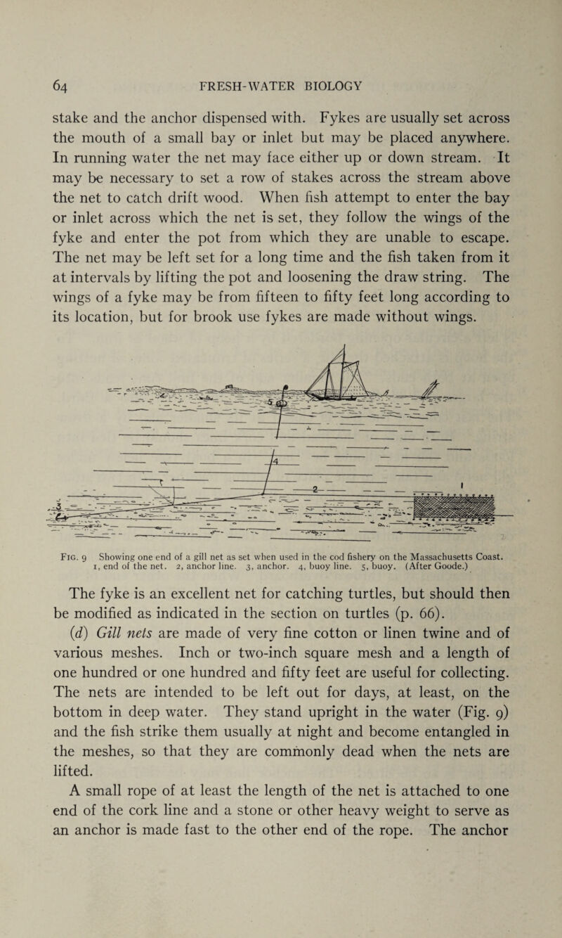 stake and the anchor dispensed with. Fykes are usually set across the mouth of a small bay or inlet but may be placed anywhere. In running water the net may face either up or down stream. It may be necessary to set a row of stakes across the stream above the net to catch drift wood. When fish attempt to enter the bay or inlet across which the net is set, they follow the wings of the fyke and enter the pot from which they are unable to escape. The net may be left set for a long time and the fish taken from it at intervals by lifting the pot and loosening the draw string. The wings of a fyke may be from fifteen to fifty feet long according to its location, but for brook use fykes are made without wings. Fig. 9 Showing one end of a gill net as set when used in the cod fishery on the Massachusetts Coast, i, end of the net. 2, anchor line. 3, anchor. 4, buoy line. 5, buoy. (After Goode.) The fyke is an excellent net for catching turtles, but should then be modified as indicated in the section on turtles (p. 66). (d) Gill nets are made of very fine cotton or linen twine and of various meshes. Inch or two-inch square mesh and a length of one hundred or one hundred and fifty feet are useful for collecting. The nets are intended to be left out for days, at least, on the bottom in deep water. They stand upright in the water (Fig. 9) and the fish strike them usually at night and become entangled in the meshes, so that they are commonly dead when the nets are lifted. A small rope of at least the length of the net is attached to one end of the cork line and a stone or other heavy weight to serve as an anchor is made fast to the other end of the rope. The anchor