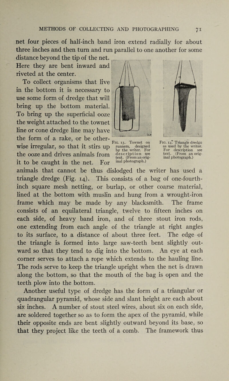 *<. L Fig. 14? Triangle dredge as used by the writer. For description see text. (From an orig¬ inal photograph.) net four pieces of half-inch band iron extend radially for about three inches and then turn and run parallel to one another for some distance beyond the tip of the net. Here they are bent inward and riveted at the center. To collect organisms that live in the bottom it is necessary to use some form of dredge that will bring up the bottom material. To bring up the superficial ooze the weight attached to the townet line or cone dredge line may have the form of a rake, or be other- . . ... Fig. !3- Townet on wise irregular, so that it stirs up runners, designed ° # ^ by the writer. For the ooze and drives animals from description see text. (Fromanorig- it to be caught in the net. For inal photograph.) animals that cannot be thus dislodged the writer has used a triangle dredge (Fig. 14). This consists of a bag of one-fourth- inch square mesh netting, or burlap, or other coarse material, lined at the bottom with muslin and hung from a wrought-iron frame which may be made by any blacksmith. The frame consists of an equilateral triangle, twelve to fifteen inches on each side, of heavy band iron, and of three stout iron rods, one extending from each angle of the triangle at right angles to its surface, to a distance of about three feet. The edge of the triangle is formed into large saw-teeth bent slightly out¬ ward so that they tend to dig into the bottom. An eye at each corner serves to attach a rope which extends to the hauling line. The rods serve to keep the triangle upright when the net is drawn along the bottom, so that the mouth of the bag is open and the teeth plow into the bottom. Another useful type of dredge has the form of a triangular or quadrangular pyramid, whose side and slant height are each about six inches. A number of stout steel wires, about six on each side, are soldered together so as to form the apex of the pyramid, while their opposite ends are bent slightly outward beyond its base, so that they project like the teeth of a comb. The framework thus