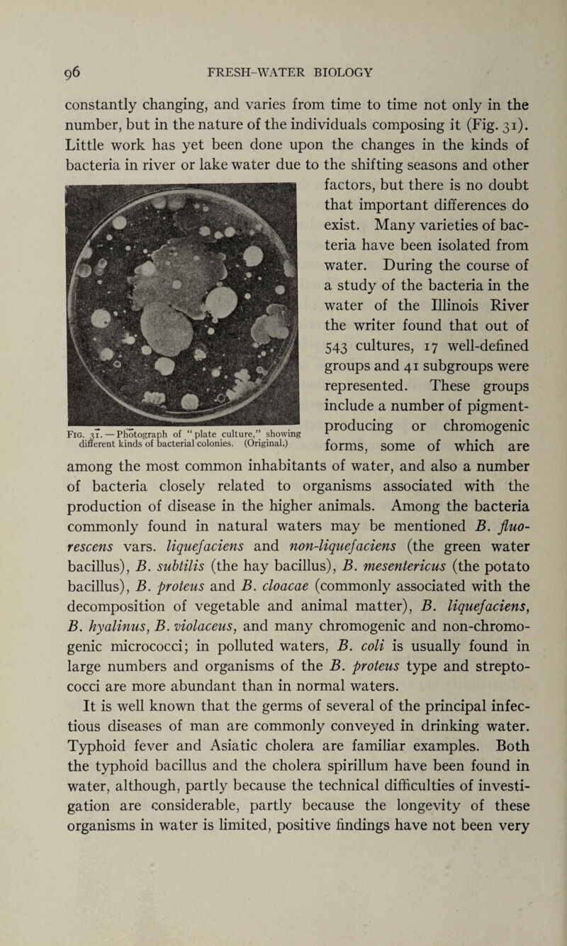 constantly changing, and varies from time to time not only in the number, but in the nature of the individuals composing it (Fig. 31). Little work has yet been done upon the changes in the kinds of bacteria in river or lake water due to the shifting seasons and other factors, but there is no doubt Fig. 31.—Photograph of “plate culture,” showing different kinds of bacterial colonies. (Original.) that important differences do exist. Many varieties of bac¬ teria have been isolated from water. During the course of a study of the bacteria in the water of the Illinois River the writer found that out of 543 cultures, 17 well-defined groups and 41 subgroups were represented. These groups include a number of pigment- producing or chromogenic forms, some of which are among the most common inhabitants of water, and also a number of bacteria closely related to organisms associated with the production of disease in the higher animals. Among the bacteria commonly found in natural waters may be mentioned B. fluo- rescens vars. liquefaciens and non-liquejaciens (the green water bacillus), B. subtilis (the hay bacillus), B. mesentericus (the potato bacillus), B. proteus and B. cloacae (commonly associated with the decomposition of vegetable and animal matter), B. liquefaciens, B. hyalinus, B. violaceus, and many chromogenic and non-chromo- genic micrococci; in polluted waters, B. coli is usually found in large numbers and organisms of the B. proteus type and strepto¬ cocci are more abundant than in normal waters. It is well known that the germs of several of the principal infec¬ tious diseases of man are commonly conveyed in drinking water. Typhoid fever and Asiatic cholera are familiar examples. Both the typhoid bacillus and the cholera spirillum have been found in water, although, partly because the technical difficulties of investi¬ gation are considerable, partly because the longevity of these organisms in water is limited, positive findings have not been very