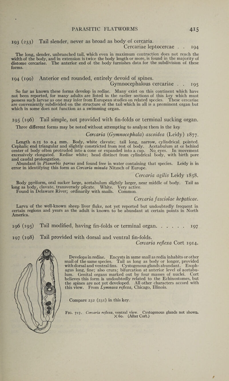193 (233) Tail slender, never as broad as body of cercaria. Cercariae leptocercae . . 194 The long, slender, unbranched tail, which even in maximum contraction does not reach the width of the body, and in extension is twice the body length or more, is found in the majority of distome cercariae. The anterior end of the body furnishes data for the subdivision of these forms. 194 (199) Anterior end rounded, entirely devoid of spines. Gymnocephalous cercariae . . 195 So far as known these forms develop in rediae. Many exist on this continent which have not been reported, for many adults are listed in the earlier sections of this key which must possess such larvae as one may infer from European studies on related species. These cercariae are conveniently subdivided on the structure of the tail which in all is a prominent organ but which in some does not function as a swimming organ. 195 (196) Tail simple, not provided with fin-folds or terminal sucking organ. Three different forms may be noted without attempting to analyze them in the key. Cercaria (Gymnocephala) ascoidea (Leidy) 1877. Length 0.25 to 0.4 mm. Body, white clavate; tail long, narrow, cylindrical pointed. Cephalic end triangular and slightly constricted from rest of body. Acetabulum at or behind center of body often protruded into a cone or expanded into a cup. No eyes. In movement excessively elongated. Rediae white; head distinct from cylindrical body, with birth pore and caudal prolongation. Abundant in Planorbis parvus and found free in water containing that species. Leidy is in error in identifying this form as Cercaria minuta Nitzsch of Europe. Cercaria agilis Leidy 1858. Body pyriform, oral sucker large, acetabulum slightly larger, near middle of body. Tail as long as body, clavate, transversely plicate. White. Very active. Found in Delaware River; ordinarily with snails. Common. Cercaria fasciolae hepaticae. Larva of the well-known sheep liver fluke, not yet reported but undoubtedly frequent in certain regions and years as the adult is known to be abundant at certain points in North America. 196 (195) Tail modified, having fin-folds or terminal organ.197 197 (198) Tail provided with dorsal and ventral fin-folds. Cercaria reflexa Cort 1914. Develops in rediae. Encysts in same snail as redia inhabits or other snail of the same species. Tail as long as body or longer, provided with dorsal and ventral fins. Cystogenous glands abundant. Esoph¬ agus long, fine; also crura; bifurcation at anterior level of acetabu¬ lum. Genital organs marked out by four masses of nuclei. Cort believes this form is undoubtedly related to the Echinostomes, but the spines are not yet developed. All other characters accord with this view. From Lymnaea reflexa, Chicago, Illinois. Compare 232 (231) in this key. Cercaria reflexa, ventral view. Cystogenous glands not shown. X 60. (After Cort.) Fig. 717.