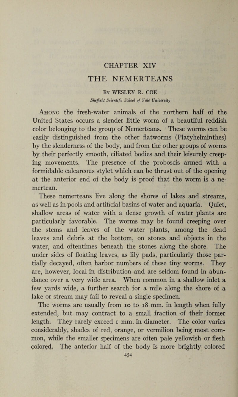 THE NEMERTEANS By WESLEY R. COE Sheffield, Scientific School of Yale University Among the fresh-water animals of the northern half of the United States occurs a slender little worm of a beautiful reddish color belonging to the group of Nemerteans. These worms can be easily distinguished from the other flatworms (Platyhelminthes) by the slenderness of the body, and from the other groups of worms by their perfectly smooth, ciliated bodies and their leisurely creep¬ ing movements. The presence of the proboscis armed with a formidable calcareous stylet which can be thrust out of the opening at the anterior end of the body is proof that the worm is a ne- mertean. These nemerteans live along the shores of lakes and streams, as well as in pools and artificial basins of water and aquaria. Quiet, shallow areas of water with a dense growth of water plants are particularly favorable. The worms may be found creeping over the stems and leaves of the water plants, among the dead leaves and debris at the bottom, on stones and objects in the water, and oftentimes beneath the stones along the shore. The under sides of floating leaves, as lily pads, particularly those par¬ tially decayed, often harbor numbers of these tiny worms. They are, however, local in distribution and are seldom found in abun¬ dance over a very wide area. When common in a shallow inlet a few yards wide, a further search for a mile along the shore of a lake or stream may fail to reveal a single specimen. The worms are usually from io to 18 mm. in length when fully extended, but may contract to a small fraction of their former length. They rarely exceed i mm. in diameter. The color varies considerably, shades of red, orange, or vermilion being most com¬ mon, while the smaller specimens are often pale yellowish or flesh colored. The anterior half of the body is more brightly colored