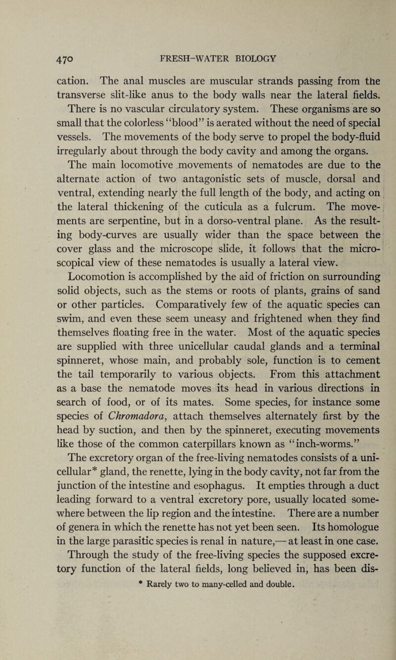 cation. The anal muscles are muscular strands passing from the transverse slit-like anus to the body walls near the lateral fields. There is no vascular circulatory system. These organisms are so small that the colorless “blood” is aerated without the need of special vessels. The movements of the body serve to propel the body-fluid irregularly about through the body cavity and among the organs. The main locomotive movements of nematodes are due to the alternate action of two antagonistic sets of muscle, dorsal and ventral, extending nearly the full length of the body, and acting on the lateral thickening of the cuticula as a fulcrum. The move¬ ments are serpentine, but in a dorso-ventral plane. As the result¬ ing body-curves are usually wider than the space between the cover glass and the microscope slide, it follows that the micro¬ scopical view of these nematodes is usually a lateral view. Locomotion is accomplished by the aid of friction on surrounding solid objects, such as the stems or roots of plants, grains of sand or other particles. Comparatively few of the aquatic species can swim, and even these seem uneasy and frightened when they find themselves floating free in the water. Most of the aquatic species are supplied with three unicellular caudal glands and a terminal spinneret, whose main, and probably sole, function is to cement the tail temporarily to various objects. From this attachment as a base the nematode moves its head in various directions in search of food, or of its mates. Some species, for instance some species of Chromadora, attach themselves alternately first by the head by suction, and then by the spinneret, executing movements like those of the common caterpillars known as “inch-worms.” The excretory organ of the free-living nematodes consists of a uni¬ cellular* gland, the renette, lying in the body cavity, not far from the junction of the intestine and esophagus. It empties through a duct leading forward to a ventral excretory pore, usually located some¬ where between the lip region and the intestine. There are a number of genera in which the renette has not yet been seen. Its homologue in the large parasitic species is renal in nature,— at least in one case. Through the study of the free-living species the supposed excre¬ tory function of the lateral fields, long believed in, has been dis- * Rarely two to many-celled and double.