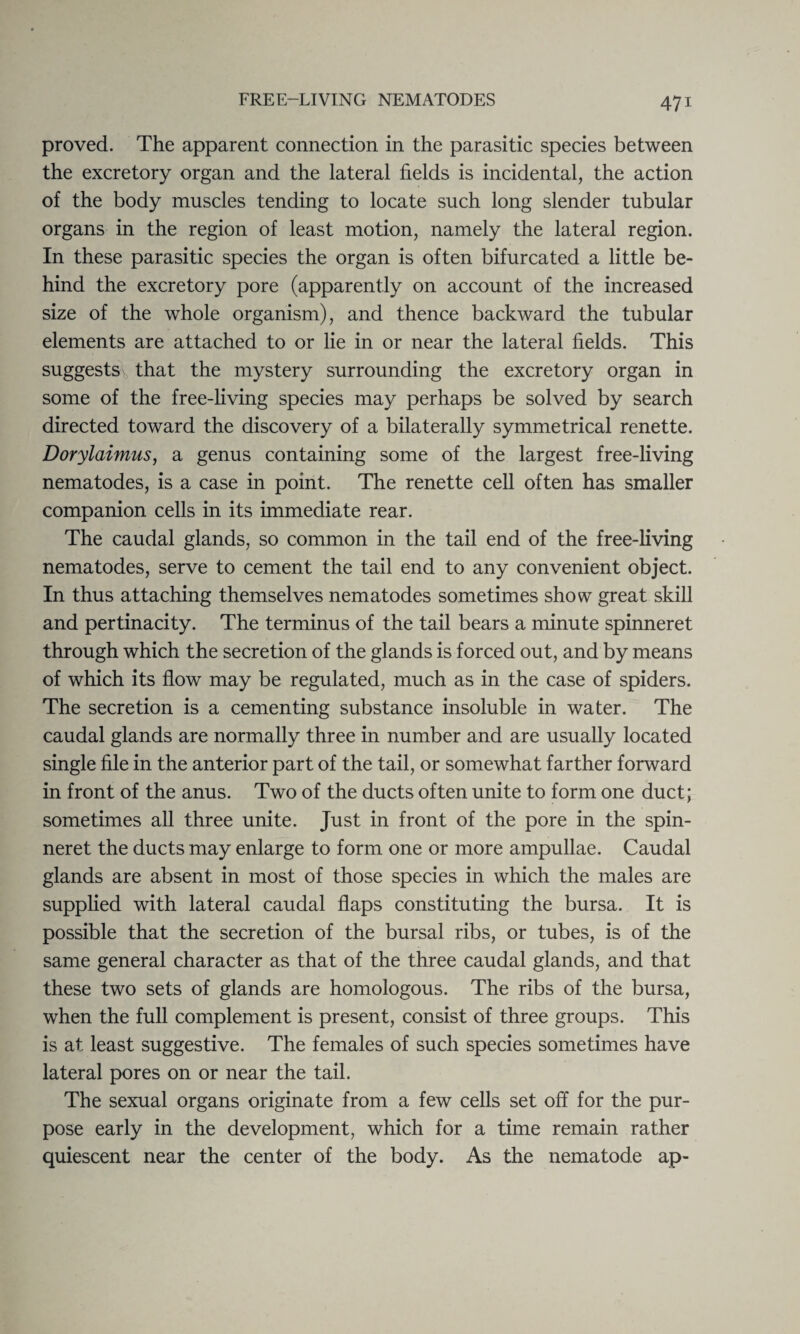 proved. The apparent connection in the parasitic species between the excretory organ and the lateral fields is incidental, the action of the body muscles tending to locate such long slender tubular organs in the region of least motion, namely the lateral region. In these parasitic species the organ is often bifurcated a little be¬ hind the excretory pore (apparently on account of the increased size of the whole organism), and thence backward the tubular elements are attached to or lie in or near the lateral fields. This suggests that the mystery surrounding the excretory organ in some of the free-living species may perhaps be solved by search directed toward the discovery of a bilaterally symmetrical renette. Dorylaimus, a genus containing some of the largest free-living nematodes, is a case in point. The renette cell often has smaller companion cells in its immediate rear. The caudal glands, so common in the tail end of the free-living nematodes, serve to cement the tail end to any convenient object. In thus attaching themselves nematodes sometimes show great skill and pertinacity. The terminus of the tail bears a minute spinneret through which the secretion of the glands is forced out, and by means of which its flow may be regulated, much as in the case of spiders. The secretion is a cementing substance insoluble in water. The caudal glands are normally three in number and are usually located single file in the anterior part of the tail, or somewhat farther forward in front of the anus. Two of the ducts often unite to form one duct; sometimes all three unite. Just in front of the pore in the spin¬ neret the ducts may enlarge to form one or more ampullae. Caudal glands are absent in most of those species in which the males are supplied with lateral caudal flaps constituting the bursa. It is possible that the secretion of the bursal ribs, or tubes, is of the same general character as that of the three caudal glands, and that these two sets of glands are homologous. The ribs of the bursa, when the full complement is present, consist of three groups. This is at least suggestive. The females of such species sometimes have lateral pores on or near the tail. The sexual organs originate from a few cells set off for the pur¬ pose early in the development, which for a time remain rather quiescent near the center of the body. As the nematode ap-