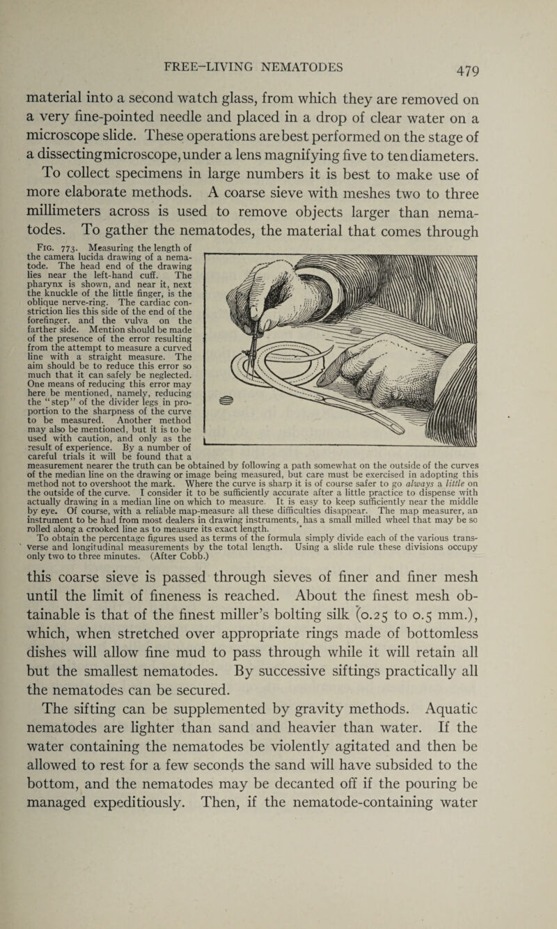 material into a second watch glass, from which they are removed on a very fine-pointed needle and placed in a drop of clear water on a microscope slide. These operations are best performed on the stage of a dissecting microscope, under a lens magnifying five to ten diameters. To collect specimens in large numbers it is best to make use of more elaborate methods. A coarse sieve with meshes two to three millimeters across is used to remove objects larger than nema¬ todes. To gather the nematodes, the material that comes through Fig. 773. Measuring the length of the camera lucida drawing of a nema¬ tode. The head end of the drawing lies near the left-hand cuff. The pharynx is shown, and near it, next the knuckle of the little finger, is the oblique nerve-ring. The cardiac con¬ striction lies this side of the end of the forefinger, and the vulva on the farther side. Mention should be made of the presence of the error resulting from the attempt to measure a curved line with a straight measure. The aim should be to reduce this error so much that it can safely be neglected. One means of reducing this error may here be mentioned, namely, reducing the “step” of the divider legs in pro¬ portion to the sharpness of the curve to be measured. Another method may also be mentioned, but it is to be used with caution, and only as the result of experience. By a number of careful trials it will be found that a measurement nearer the truth can be obtained by following a path somewhat on the outside of the curves of the median line on the drawing or image being measured, but care must be exercised in adopting this method not to overshoot the mark. Where the curve is sharp it is of course safer to go always a little on the outside of the curve. I consider it to be sufficiently accurate after a little practice to dispense with actually drawing in a median line on which to measure. It is easy to keep sufficiently near the middle by eye. Of course, with a reliable map-measure all these difficulties disappear. The map measurer, an instrument to be had from most dealers in drawing instruments, has a small milled wheel that may be so rolled along a crooked line as to measure its exact length. To obtain the percentage figures used as terms of the formula simply divide each of the various trans¬ verse and longitudinal measurements by the total length. Using a slide rule these divisions occupy only two to three minutes. (After Cobb.) this coarse sieve is passed through sieves of finer and finer mesh until the limit of fineness is reached. About the finest mesh ob¬ tainable is that of the finest miller’s bolting silk (0.25 to 0.5 mm.), which, when stretched over appropriate rings made of bottomless dishes will allow fine mud to pass through while it will retain all but the smallest nematodes. By successive siftings practically all the nematodes can be secured. The sifting can be supplemented by gravity methods. Aquatic nematodes are lighter than sand and heavier than water. If the water containing the nematodes be violently agitated and then be allowed to rest for a few seconds the sand will have subsided to the bottom, and the nematodes may be decanted off if the pouring be managed expeditiously. Then, if the nematode-containing water