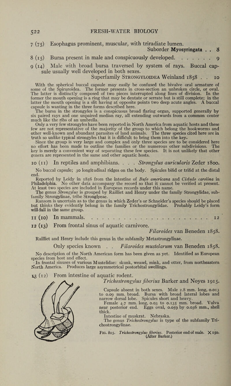 7 (75) Esophagus prominent, muscular, with triradiate lumen. Suborder Myosyringata . . 8 8 (15) Bursa present in male and conspicuously developed.9 9 (14) Male with broad bursa traversed by system of rays. Buccal cap¬ sule usually well developed in both sexes. Superfamily Strongyloidea Weinland 1858 . . 10 With the spherical buccal capsule may easily be confused the bivalve oral armature of some of the Spiruroidea. The former presents in cross-section an unbroken circle, or oval. The latter is distinctly composed of two pieces interrupted along lines of division. In the former the mouth opening is a ring that may be dentate or serrate but is still complete; in the latter the mouth opening is a slit having at opposite points two deep acute angles. A buccal capsule is wanting in the three forms described here. The bursa in the strongyles is a conspicuous broad flaring organ, supported generally by six paired rays and one unpaired median ray, all extending outwards from a common center much like the ribs of an umbrella. Only a very few strongyles have been reported in North America from aquatic hosts and these few are not representative of the majority of the group to which belong the hookworms and other well-known and abundant parasites of land animals. The three species cited here are in truth so unlike typical strongyles that it is difficult to bring them into the key. Since the group is very large and complex and only three species are to be considered here no effort has been made to outline the families or the numerous other subdivisions. The key is merely a convenient way of separating these few species. It is not unlikely that other genera are represented in the same and other aquatic hosts. 10 (11) In reptiles and amphibians. . . . Strongylus auricularis Zeder 1800. No buccal capsule; 30 longitudinal ridges on the body. Spicules bifid or trifid at the distal end. Reported by Leidy in 1856 from the intestine of Bufo americana and Cistudo Carolina in Philadelphia. No other data accompany the record so that it cannot be verified at present. At least two species are included in European records under this name. The genus Strongylus is grouped by Railliet and Henry under the family Strongylidae, sub¬ family Strongylinae, tribe Stronglyeae. Ransom is uncertain as to the genus in which Zeder’s or Schneider’s species should be placed but thinks they evidently belong in the family Trichostrongylidae. Probably Leidy’s form will-fall in the same group. 11 (10) In mammals.12 12 (13) From frontal sinus of aquatic carnivore. F ilaro ides van Beneden 1858. Railliet and Henry include this genus in the subfamily Metastrongylinae. Only species known . . Filaroides mustelarum van Beneden 1858. No description of the North American form has been given as yet. Identified as European species from host and effect. In frontal sinuses of various Mustelidae: skunk, weasel, mink, and otter, from northeastern North America. Produces large asymmetrical postorbital swellings. 13 (12) From intestine of aquatic rodent. Tricho strongylus fiberi-us Barker and Noyes 1915. Capsule absent in both sexes. Male 2.8 mm. long, 0.013 to 0.09 mm. broad. Bursa with broad lateral lobes and narrow dorsal lobe. Spicules short and heavy. Female 4.7 mm. long, 0.03 to 0.135 mm. broad. Vulva near posterior end. Eggs oval, 0.059 by 0-036 mm., shell thick. Intestine of muskrat. Nebraska. The genus Tricho strongylus is type of the subfamily Tri- chostrongylinae. Fig. 815. Tricho strongylus fiberius. Posterior end of male. X 150. (After Barker.)