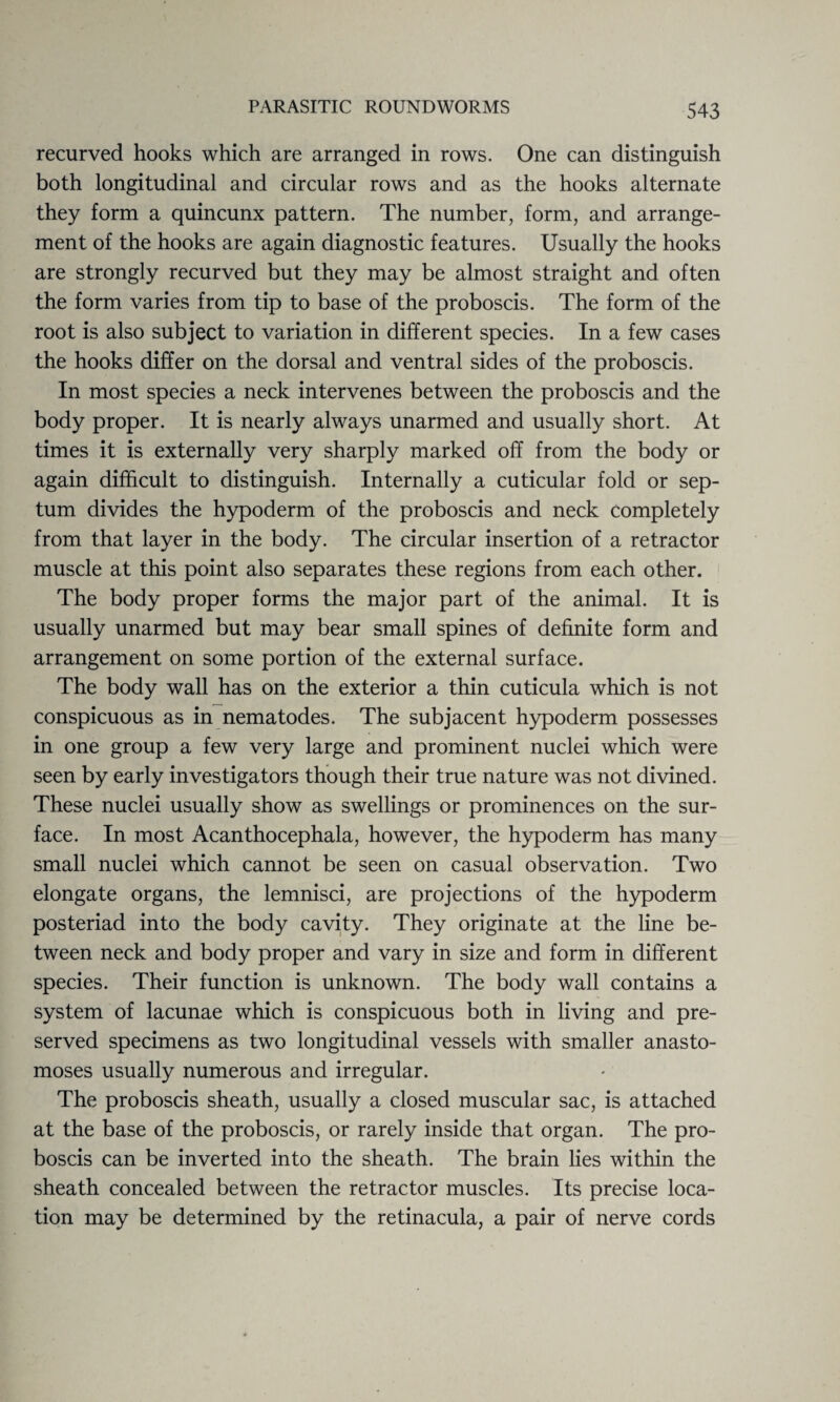 recurved hooks which are arranged in rows. One can distinguish both longitudinal and circular rows and as the hooks alternate they form a quincunx pattern. The number, form, and arrange¬ ment of the hooks are again diagnostic features. Usually the hooks are strongly recurved but they may be almost straight and often the form varies from tip to base of the proboscis. The form of the root is also subject to variation in different species. In a few cases the hooks differ on the dorsal and ventral sides of the proboscis. In most species a neck intervenes between the proboscis and the body proper. It is nearly always unarmed and usually short. At times it is externally very sharply marked off from the body or again difficult to distinguish. Internally a cuticular fold or sep¬ tum divides the hypoderm of the proboscis and neck completely from that layer in the body. The circular insertion of a retractor muscle at this point also separates these regions from each other. The body proper forms the major part of the animal. It is usually unarmed but may bear small spines of definite form and arrangement on some portion of the external surface. The body wall has on the exterior a thin cuticula which is not conspicuous as in nematodes. The subjacent hypoderm possesses in one group a few very large and prominent nuclei which were seen by early investigators though their true nature was not divined. These nuclei usually show as swellings or prominences on the sur¬ face. In most Acanthocephala, however, the hypoderm has many small nuclei which cannot be seen on casual observation. Two elongate organs, the lemnisci, are projections of the hypoderm posteriad into the body cavity. They originate at the line be¬ tween neck and body proper and vary in size and form in different species. Their function is unknown. The body wall contains a system of lacunae which is conspicuous both in living and pre¬ served specimens as two longitudinal vessels with smaller anasto¬ moses usually numerous and irregular. The proboscis sheath, usually a closed muscular sac, is attached at the base of the proboscis, or rarely inside that organ. The pro¬ boscis can be inverted into the sheath. The brain lies within the sheath concealed between the retractor muscles. Its precise loca¬ tion may be determined by the retinacula, a pair of nerve cords