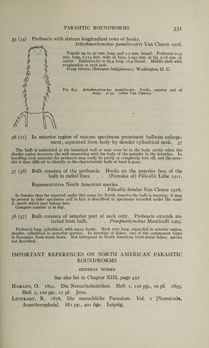 35 (34) Proboscis with sixteen longitudinal rows of hooks. Arhythmorhynchus pumilirostris Van Cleave 1916. Female up to 30 mm. long, and 1.5 mm. broad. Proboscis 0.45 mm. long, 0.114 mm. wide at base, 0.095 mm. at tip, 0.18 mm. at center. Embryos 65 to 89 long, 18 /j. broad. Middle shell with evagination at each pole. From bittern (Botaurus lentiginosus); Washington, D. C. Fig. 855. Arhythmorhynchus pumilirostris. Profile, anterior end of body. X 95- (After Van Cleave.) 36 (n) In anterior region of mature specimens prominent bulbous enlarge¬ ment, separated from body by slender cylindrical neck. 37 The bulb is embedded in the intestinal wall or may even be in the body cavity when the slender region traverses the wall connecting with the body of the parasite in the intestine. In handling such material the proboscis may easily be partly or completely torn off, and the para¬ site is then difficult to identify as the characteristic bulb at least is gone. 37 (38) Bulb consists of the proboscis. Hooks on the anterior face of the bulb in radial lines. . . (Females of) Filicollis Luhe 1911. Representative North American species. Filicollis botulus Van Cleave 1916. In females thus far reported under this name for North America the bulb is wanting; it may be present in older specimens and in fact is described in specimens recorded under the name E. anaiis which may belong here. Compare number 22 in key. 38 (37) Bulb consists of anterior part of neck only. Proboscis extends an- teriad from bulb. . . . Pomphorhynchus Monticelli 1905. Proboscis long, cylindrical, with many hooks. Neck very long, expanded in anterior region, slender, cylindrical in posterior portion. In intestine of fishes; one of the commonest types in European fresh-water hosts. Not infrequent in North American fresh-water fishes; species not described. IMPORTANT REFERENCES ON NORTH AMERICAN PARASITIC ROUNDWORMS GENERAL WORKS See also list in Chapter XIII, page 452 Hamann, O. 1891. Die Nemathelminthen. Heft 1, 120 pp., 10 pi. 1895. Heft 2, 120 pp., 11 pi. Jena. Leuckart, R. 1876. Die menschliche Parasiten. Vol. 2 [Nematoda, Acanthocephala]. 882 pp., 401 figs. Leipzig.