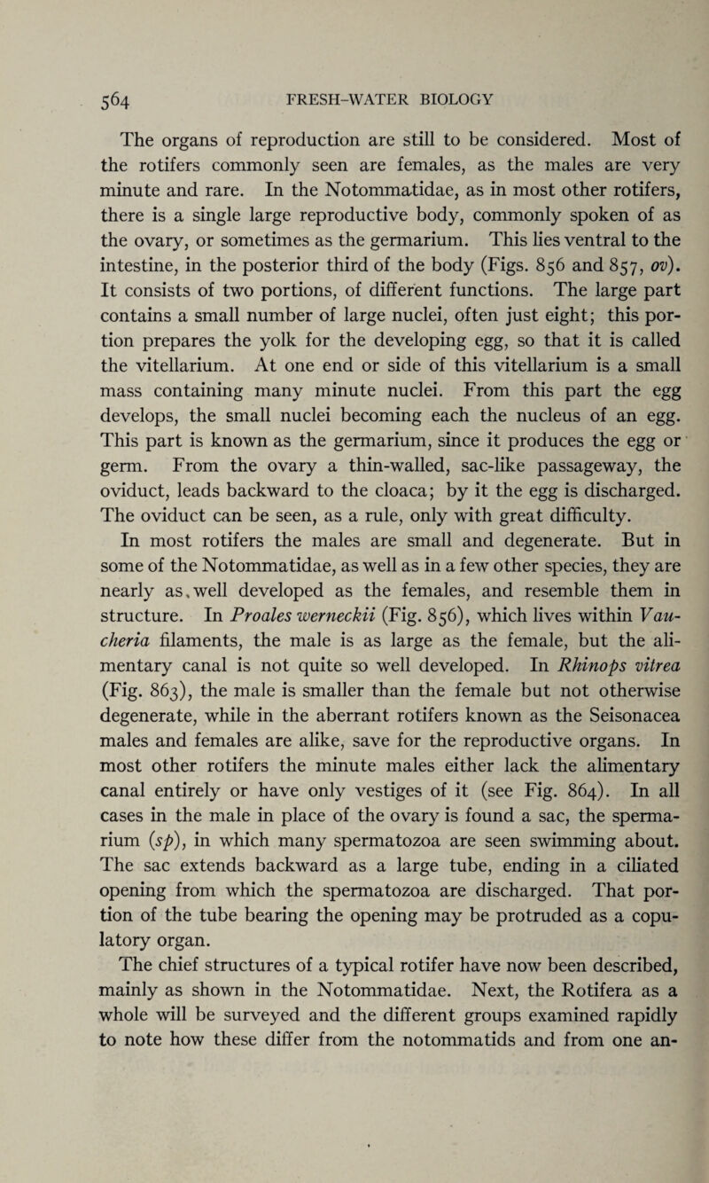 The organs of reproduction are still to be considered. Most of the rotifers commonly seen are females, as the males are very minute and rare. In the Notommatidae, as in most other rotifers, there is a single large reproductive body, commonly spoken of as the ovary, or sometimes as the germarium. This lies ventral to the intestine, in the posterior third of the body (Figs. 856 and 857, ov). It consists of two portions, of different functions. The large part contains a small number of large nuclei, often just eight; this por¬ tion prepares the yolk for the developing egg, so that it is called the vitellarium. At one end or side of this vitellarium is a small mass containing many minute nuclei. From this part the egg develops, the small nuclei becoming each the nucleus of an egg. This part is known as the germarium, since it produces the egg or germ. From the ovary a thin-walled, sac-like passageway, the oviduct, leads backward to the cloaca; by it the egg is discharged. The oviduct can be seen, as a rule, only with great difficulty. In most rotifers the males are small and degenerate. But in some of the Notommatidae, as well as in a few other species, they are nearly as,well developed as the females, and resemble them in structure. In Proales werneckii (Fig. 856), which lives within Vau- cheria filaments, the male is as large as the female, but the ali¬ mentary canal is not quite so well developed. In Rhinops mtrea (Fig. 863), the male is smaller than the female but not otherwise degenerate, while in the aberrant rotifers known as the Seisonacea males and females are alike, save for the reproductive organs. In most other rotifers the minute males either lack the alimentary canal entirely or have only vestiges of it (see Fig. 864). In all cases in the male in place of the ovary is found a sac, the sperma- rium (sp), in which many spermatozoa are seen swimming about. The sac extends backward as a large tube, ending in a ciliated opening from which the spermatozoa are discharged. That por¬ tion of the tube bearing the opening may be protruded as a copu- latory organ. The chief structures of a typical rotifer have now been described, mainly as shown in the Notommatidae. Next, the Rotifera as a whole will be surveyed and the different groups examined rapidly to note how these differ from the notommatids and from one an-