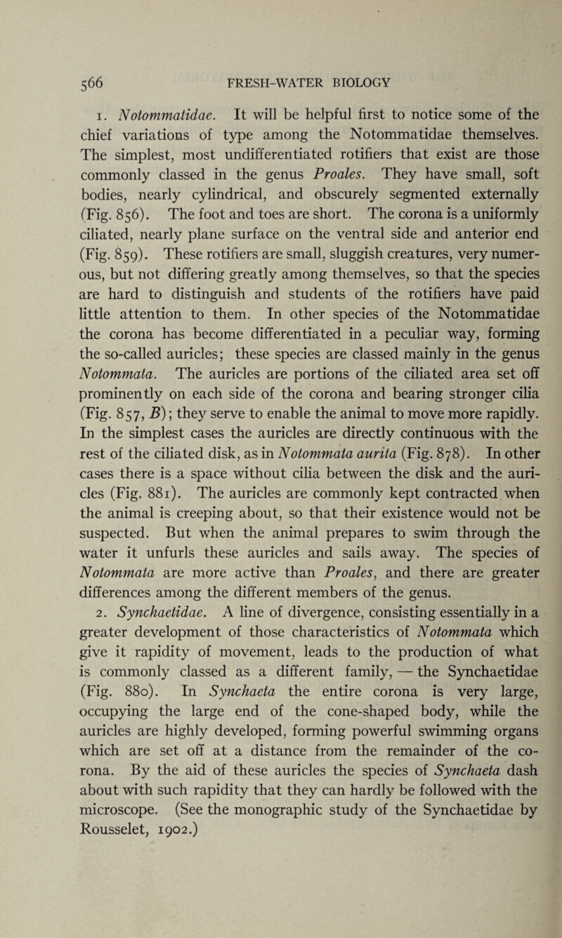 1. Notommatidae. It will be helpful first to notice some of the chief variations of type among the Notommatidae themselves. The simplest, most undifferentiated rotifiers that exist are those commonly classed in the genus Proales. They have small, soft bodies, nearly cylindrical, and obscurely segmented externally (Fig. 856). The foot and toes are short. The corona is a uniformly ciliated, nearly plane surface on the ventral side and anterior end (Fig. 859). These rotifiers are small, sluggish creatures, very numer¬ ous, but not differing greatly among themselves, so that the species are hard to distinguish and students of the rotifiers have paid little attention to them. In other species of the Notommatidae the corona has become differentiated in a peculiar way, forming the so-called auricles; these species are classed mainly in the genus Notommata. The auricles are portions of the ciliated area set off prominently on each side of the corona and bearing stronger cilia (Fig. 857, B); they serve to enable the animal to move more rapidly. In the simplest cases the auricles are directly continuous with the rest of the ciliated disk, as in Notommata aurita (Fig. 878). In other cases there is a space without cilia between the disk and the auri¬ cles (Fig. 881). The auricles are commonly kept contracted when the animal is creeping about, so that their existence would not be suspected. But when the animal prepares to swim through the water it unfurls these auricles and sails away. The species of Notommata are more active than Proales, and there are greater differences among the different members of the genus. 2. Synchaetidae. A line of divergence, consisting essentially in a greater development of those characteristics of Notommata which give it rapidity of movement, leads to the production of what is commonly classed as a different family, — the Synchaetidae (Fig. 880). In Synchaeta the entire corona is very large, occupying the large end of the cone-shaped body, while the auricles are highly developed, forming powerful swimming organs which are set off at a distance from the remainder of the co¬ rona. By the aid of these auricles the species of Synchaeta dash about with such rapidity that they can hardly be followed with the microscope. (See the monographic study of the Synchaetidae by Rousselet, 1902.)