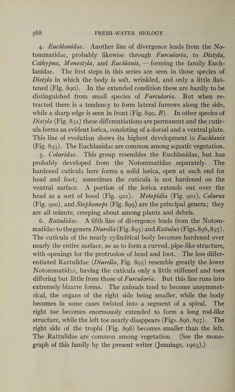 4. Euchlanidae. Another line of divergence leads from the No- tommatidae, probably likewise through Furcularia, to Distyla, Cathypna, Monostyla, and Euchlanis, — forming the family Euch¬ lanidae. The first steps in this series are seen in those species of Distyla in which the body is soft, wrinkled, and only a little flat¬ tened (Fig. 890). In the extended condition these are hardly to be distinguished from small species of Furcularia. But when re¬ tracted there is a tendency to form lateral furrows along the side, while a sharp edge is seen in front (Fig. 890, B). In other species of Distyla (Fig. 891) these differentiations are permanent and the cutic- ula forms an evident lorica, consisting of a dorsal and a ventral plate. This line of evolution shows its highest development in Euchlanis (Fig. 893). The Euchlanidae are common among aquatic vegetation. 5. Coluridae. This group resembles the Euchlanidae, but has probably developed from the Notommatidae separately. The hardened cuticula here forms a solid lorica, open at each end for head and foot; sometimes the cuticula is not hardened on the ventral surface. A portion of the lorica extends out over the head as a sort of hood (Fig. 901). Metopidia (Fig. 901), Colurus (Fig. 900), and Stephanops (Fig. 899) are the principal genera; they are all minute, creeping about among plants and debris. 6. Rattulidae. A fifth line of divergence leads from the Notom¬ matidae to the genera Diurella (Fig. 895) and Rattulus (Figs. 896,897). The cuticula of the nearly cylindrical body becomes hardened over nearly the entire surface, so as to form a curved, pipe-like structure, with openings for the protrusion of head and foot. The less differ¬ entiated Rattulidae {Diurella, Fig. 895) resemble greatly the lower Notommatidae, having the cuticula only a little stiffened and toes differing but little from those of Furcularia. But this line runs into extremely bizarre forms. The animals tend to become unsymmet- rical, the organs of the right side being smaller, while the body becomes in some cases twisted into a segment of a spiral. The right toe becomes enormously extended to form a long rod-like structure, while the left toe nearly disappears (Figs. 896, 897). The right side of the trophi (Fig. 898) becomes smaller than the left. The Rattulidae are common among vegetation. (See the mono¬ graph of this family by the present writer (Jennings, 1903).)