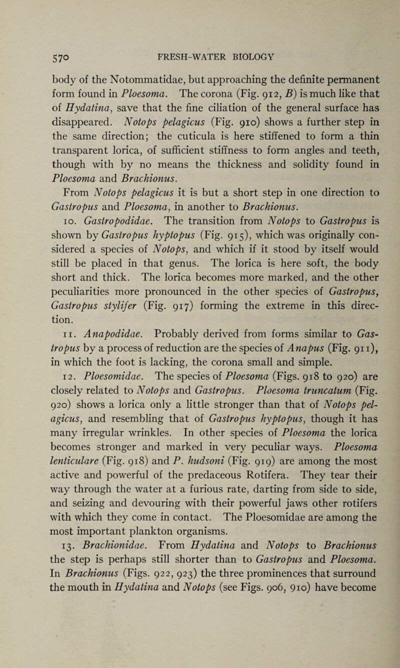 57° body of the Notommatidae, but approaching the definite permanent form found in Ploesoma. The corona (Fig. 912, B) is much like that of Hydatina, save that the fine ciliation of the general surface has disappeared. Notops pelagicus (Fig. 910) shows a further step in the same direction; the cuticula is here stiffened to form a thin transparent lorica, of sufficient stiffness to form angles and teeth, though with by no means the thickness and solidity found in Ploesoma and Brachionus. From Notops pelagicus it is but a short step in one direction to G astro pus and Ploesoma, in another to Brachionus. 10. Gastropodidae. The transition from Notops to Gastropus is shown by Gastropus hyptopus (Fig. 915), which was originally con¬ sidered a species of Notops, and which if it stood by itself would still be placed in that genus. The lorica is here soft, the body short and thick. The lorica becomes more marked, and the other peculiarities more pronounced in the other species of Gastropus, Gastropus stylifer (Fig. 917) forming the extreme in this direc¬ tion. 11. Anapodidae. Probably derived from forms similar to Gas¬ tropus by a process of reduction are the species of Anapus (Fig. 911), in which the foot is lacking, the corona small and simple. 12. Ploesomidae. The species of Ploesoma (Figs. 918 to 920) are closely related to Notops and Gastropus. Ploesoma truncatum (Fig. 920) shows a lorica only a little stronger than that of Notops pel¬ agicus, and resembling that of Gastropus hyptopus, though it has many irregular wrinkles. In other species of Ploesoma the lorica becomes stronger and marked in very peculiar ways. Ploesoma lenticidare (Fig. 918) and P. hudsoni (Fig. 919) are among the most active and powerful of the predaceous Rotifera. They tear their way through the water at a furious rate, darting from side to side, and seizing and devouring with their powerful jaws other rotifers with which they come in contact. The Ploesomidae are among the most important plankton organisms. 13. Brachionidae. From Hydatina and Notops to Brachionus the step is perhaps still shorter than to Gastropus and Ploesoma. In Brachionus (Figs. 922, 923) the three prominences that surround the mouth in Hydatina and Notops (see Figs. 906, 910) have become