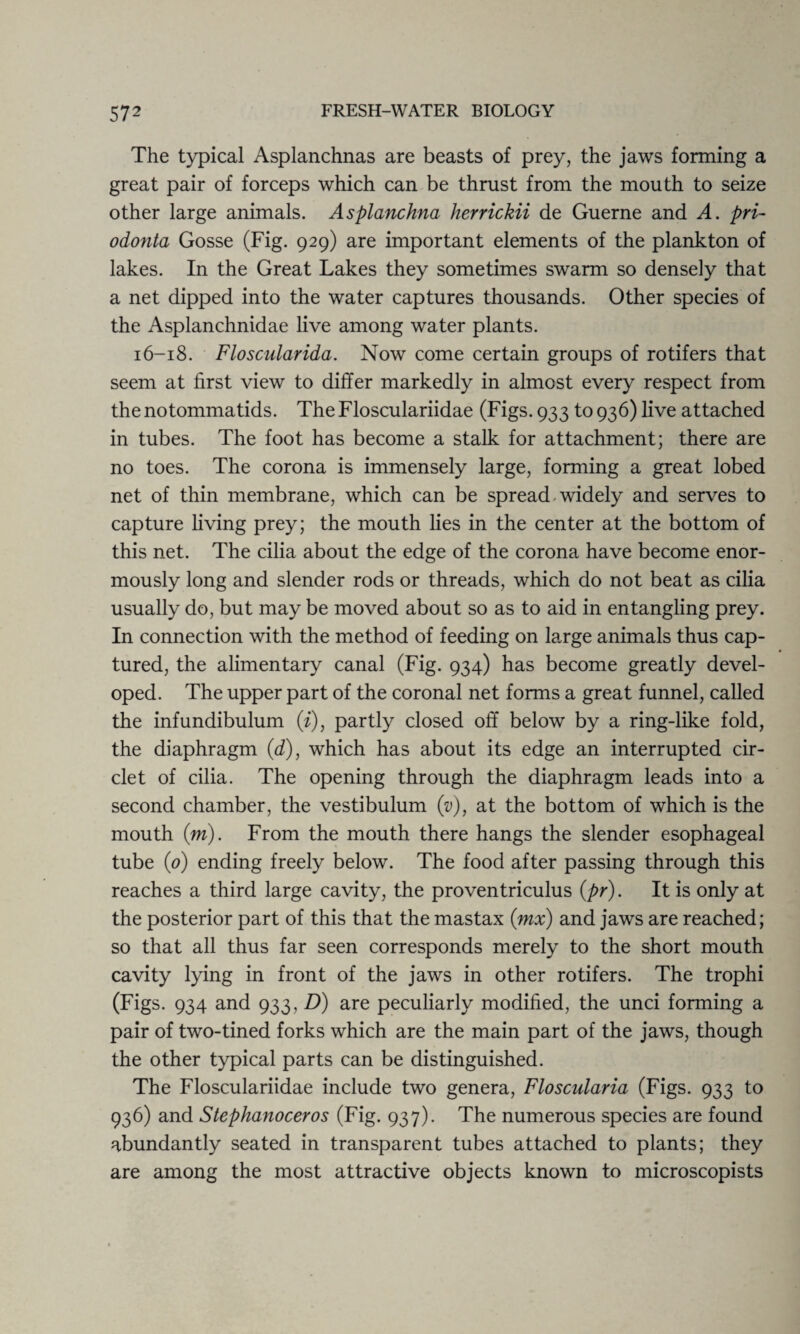 The typical Asplanchnas are beasts of prey, the jaws forming a great pair of forceps which can be thrust from the mouth to seize other large animals. Asplanchna herrickii de Guerne and A. pri- odonta Gosse (Fig. 929) are important elements of the plankton of lakes. In the Great Lakes they sometimes swarm so densely that a net dipped into the water captures thousands. Other species of the Asplanchnidae live among water plants. 16-18. Floscularida. Now come certain groups of rotifers that seem at first view to differ markedly in almost every respect from the notommatids. The Flosculariidae (Figs. 933 to 936) live attached in tubes. The foot has become a stalk for attachment; there are no toes. The corona is immensely large, forming a great lobed net of thin membrane, which can be spread widely and serves to capture living prey; the mouth lies in the center at the bottom of this net. The cilia about the edge of the corona have become enor¬ mously long and slender rods or threads, which do not beat as cilia usually do, but may be moved about so as to aid in entangling prey. In connection with the method of feeding on large animals thus cap¬ tured, the alimentary canal (Fig. 934) has become greatly devel¬ oped. The upper part of the coronal net forms a great funnel, called the infundibulum (1), partly closed off below by a ring-like fold, the diaphragm (d), which has about its edge an interrupted cir¬ clet of cilia. The opening through the diaphragm leads into a second chamber, the vestibulum (v), at the bottom of which is the mouth (m). From the mouth there hangs the slender esophageal tube (0) ending freely below. The food after passing through this reaches a third large cavity, the proventriculus (pr). It is only at the posterior part of this that the mastax (mx) and jaws are reached; so that all thus far seen corresponds merely to the short mouth cavity lying in front of the jaws in other rotifers. The trophi (Figs. 934 and 933, D) are peculiarly modified, the unci forming a pair of two-tined forks which are the main part of the jaws, though the other typical parts can be distinguished. The Flosculariidae include two genera, Floscularia (Figs. 933 to 936) and Stephanoceros (Fig. 937). The numerous species are found abundantly seated in transparent tubes attached to plants; they are among the most attractive objects known to microscopists