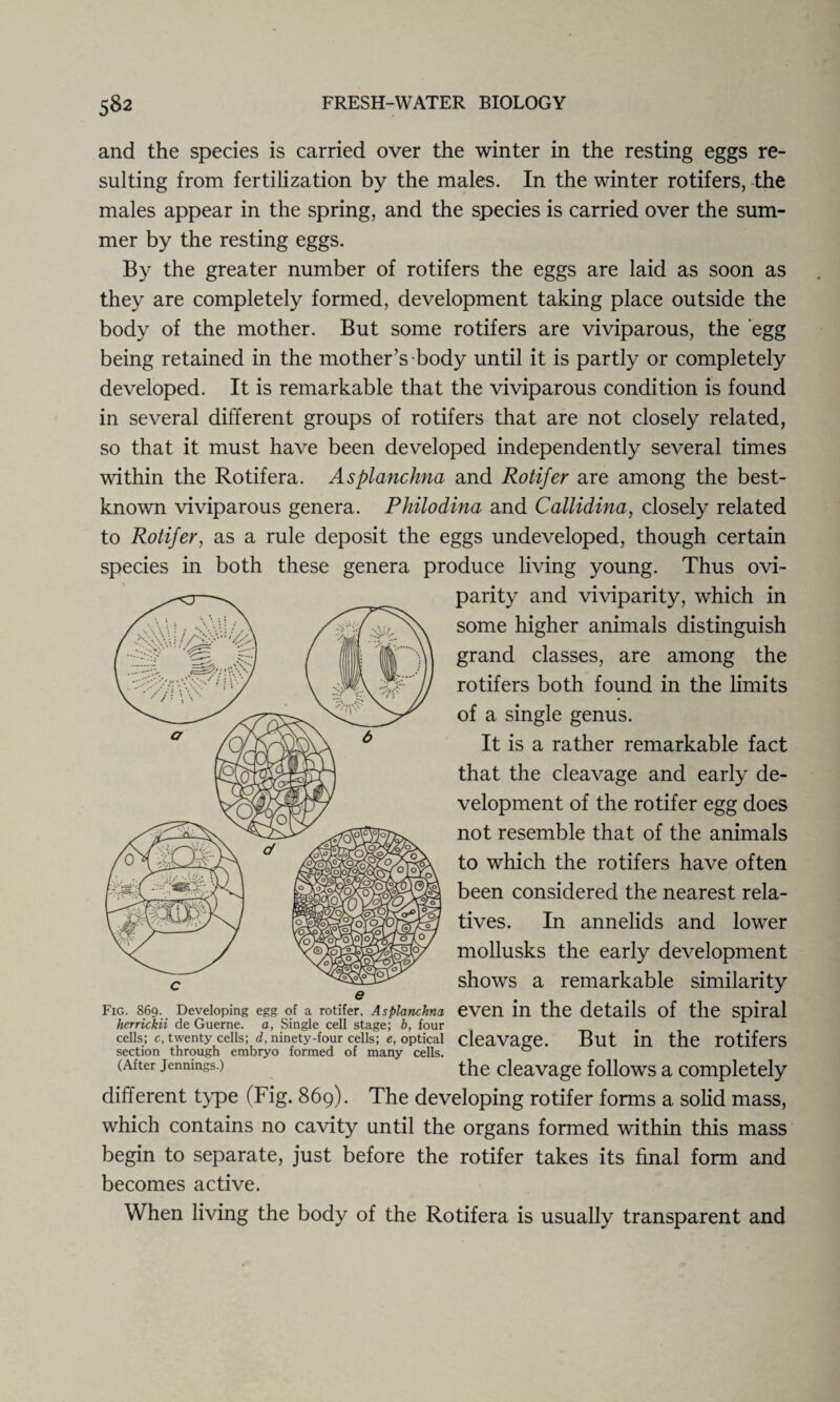 and the species is carried over the winter in the resting eggs re¬ sulting from fertilization by the males. In the winter rotifers, the males appear in the spring, and the species is carried over the sum¬ mer by the resting eggs. By the greater number of rotifers the eggs are laid as soon as they are completely formed, development taking place outside the body of the mother. But some rotifers are viviparous, the egg being retained in the mother’s body until it is partly or completely developed. It is remarkable that the viviparous condition is found in several different groups of rotifers that are not closely related, so that it must have been developed independently several times within the Rotifera. Asplanchna and Rotifer are among the best- known viviparous genera. Philodina and Callidina, closely related to Rotifer, as a rule deposit the eggs undeveloped, though certain species in both these genera produce living young. Thus ovi- parity and viviparity, which in some higher animals distinguish grand classes, are among the rotifers both found in the limits of a single genus. It is a rather remarkable fact that the cleavage and early de¬ velopment of the rotifer egg does not resemble that of the animals to which the rotifers have often been considered the nearest rela¬ tives. In annelids and lower mollusks the early development shows a remarkable similarity even in the details of the spiral cleavage. But in the rotifers the cleavage follows a completely different type (Fig. 869). The developing rotifer forms a solid mass, which contains no cavity until the organs formed within this mass begin to separate, just before the rotifer takes its final form and becomes active. When living the body of the Rotifera is usually transparent and Fig. 869. Developing egg of a rotifer. Asplanchna herrickii de Guerne. a, Single cell stage; b, four cells; c, twenty cells; d, ninety-four cells; e, optical section through embryo formed of many cells. (After Jennings.)