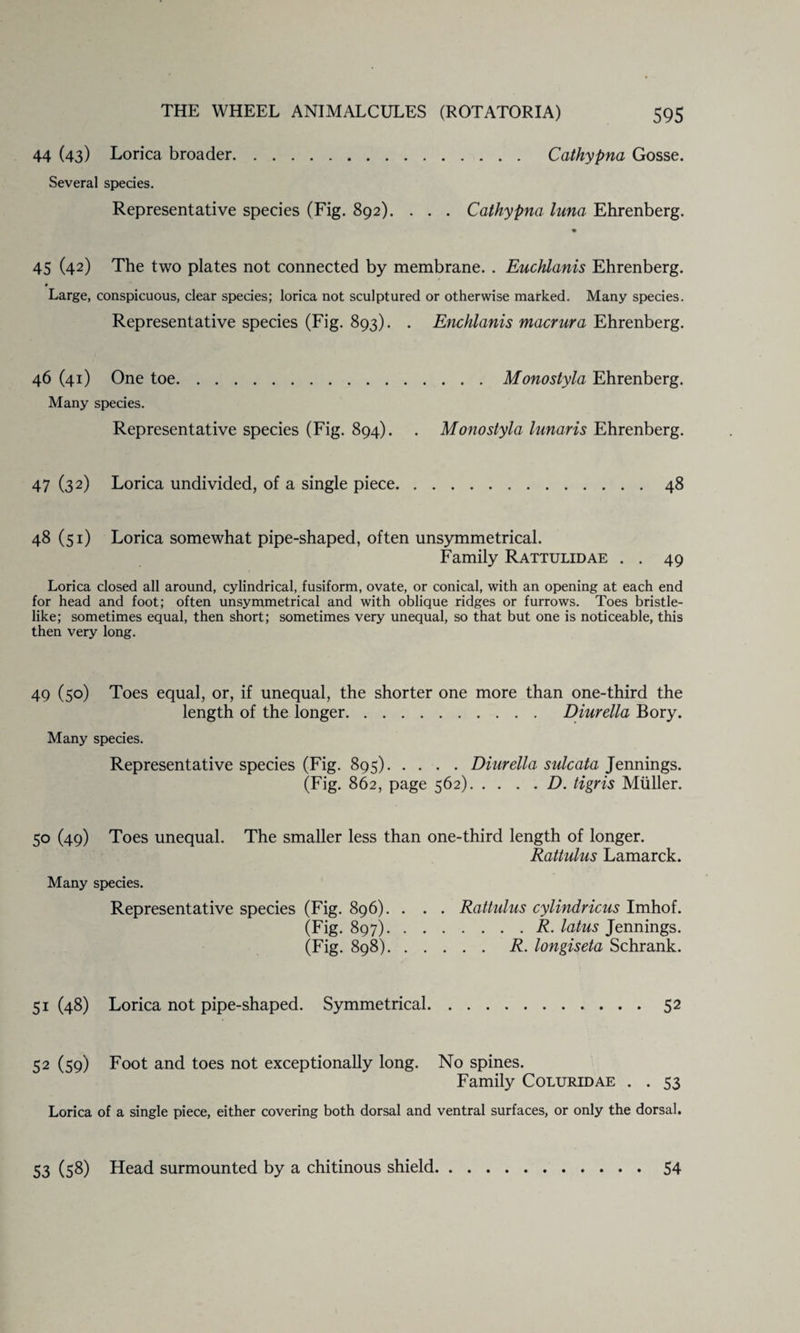 44 (43) Lorica broader. Cathypna Gosse. Several species. Representative species (Fig. 892). . . . Cathypna luna Ehrenberg. 45 (42) The two plates not connected by membrane. . Euchlanis Ehrenberg. Large, conspicuous, clear species; lorica not sculptured or otherwise marked. Many species. Representative species (Fig. 893). . Euchlanis macrura Ehrenberg. 46 (41) One toe.Monostyla Ehrenberg. Many species. Representative species (Fig. 894). . Monostyla lunaris Ehrenberg. 47 (32) Lorica undivided, of a single piece.48 48 (51) Lorica somewhat pipe-shaped, often unsymmetrical. Family Rattulidae . . 49 Lorica closed all around, cylindrical, fusiform, ovate, or conical, with an opening at each end for head and foot; often unsymmetrical and with oblique ridges or furrows. Toes bristle¬ like; sometimes equal, then short; sometimes very unequal, so that but one is noticeable, this then very long. 49 (50) Toes equal, or, if unequal, the shorter one more than one-third the length of the longer. Diurella Bory. Many species. Representative species (Fig. 895).Diurella sulcata Jennings. (Fig. 862, page 562).D. tigris Muller. 50 (49) Toes unequal. The smaller less than one-third length of longer. Rattulus Lamarck. Many species. Representative species (Fig. 896). . . . Rattulus cylindricus Imhof. (Fig. 897).R. latus Jennings. (Fig. 898).R. longiseta Schrank. 51 (48) Lorica not pipe-shaped. Symmetrical.52 52 (59) Foot and toes not exceptionally long. No spines. Family Coluridae . . 53 Lorica of a single piece, either covering both dorsal and ventral surfaces, or only the dorsal. 53 (58) Head surmounted by a chitinous shield • 54