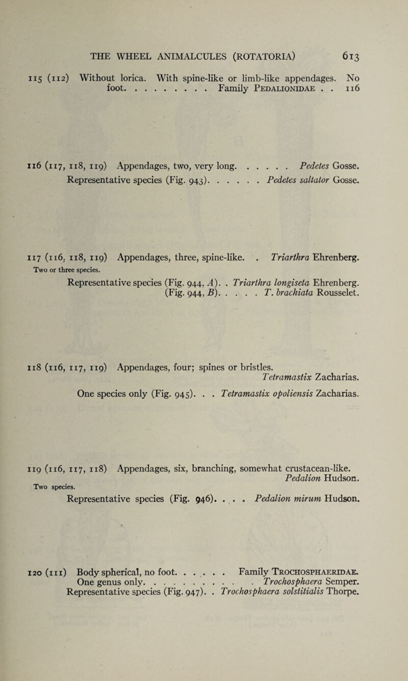 115 (112) Without lorica. With spine-like or limb-like appendages. No foot.Family Pedalionldae . . 116 116 (117, 118, 119) Appendages, two, very long.Pedetes Gosse. Representative species (Fig. 943).Pedetes saltator Gosse. 117 (116. 118, 119) Appendages, three, spine-like. . Triarthra Ehrenberg. Two or three species. Representative species (Fig. 944, A). . Triarthra longiseta Ehrenberg. (Fig. 944, B).T. brachiata Rousselet. 118 (116, 117, 119) Appendages, four; spines or bristles. Tetramastix Zacharias. One species only (Fig. 945). . . Tetramastix opoliensis Zacharias. 119 (116, 117, 118) Two species. Appendages, six, branching, somewhat crustacean-like. Pedalion Hudson. Representative species (Fig. 946). . . . Pedalion mirum Hudson. 120(111) Body spherical, no foot. ..... Family Trochosphaeridae. One genus only.Trochosphaera Semper. Representative species (Fig. 947). . Trochosphaera solstitialis Thorpe.