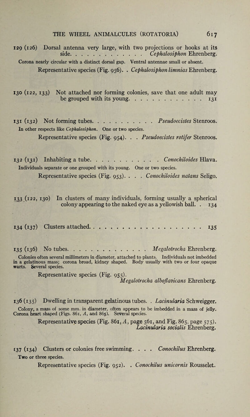 129 (126) Dorsal antenna very large, with two projections or hooks at its side. Cephalosiphon Ehrenberg. Corona nearly circular with a distinct dorsal gap. Ventral antennae small or absent. Representative species (Fig. 956). . Cephalosiphon limnias Ehrenberg. 130 (122, 133) Not attached nor forming colonies, save that one adult may be grouped with its young.131 131 (132) Not forming tubes.Pseudoecistes Stenroos. In other respects like Cephalosiphon. One or two species. Representative species (Fig. 954). . . Pseudoecistes rotifer Stenroos. 132 (131) Inhabiting a tube.Conochiloides Hlava. Individuals separate or one grouped with its young. One or two species. Representative species (Fig. 953). . . . Conochiloides natans Seligo. 133 (122, 130) In clusters of many individuals, forming usually a spherical colony appearing to the naked eye as a yellowish ball. . 134 134 (137) Clusters attached.135 135 (136) No tubes.Megalotrocha Ehrenberg. Colonies often several millimeters in diameter, attached to plants. Individuals not imbedded in a gelatinous mass; corona broad, kidney shaped. Body usually with two or four opaque warts. Several species. Representative species (Fig. 955). Megalotrocha albojlavicans Ehrenberg. 136 (135) Dwelling in transparent gelatinous tubes. . Lacinularia Schweigger. Colony, a mass of some mm. in diameter, often appears to be imbedded in a mass of jelly. Corona heart shaped (Figs. 861, A, and 865). Several species. Representative species (Fig. 861, A, page 561, and Fig. 865, page 575). Lacinularia socialis Ehrenberg. *37 (J34) Clusters or colonies free swimming. . . . Conochilus Ehrenberg. Two or three species. Representative species (Fig. 952). . Conochilus unicornis Rousselet.