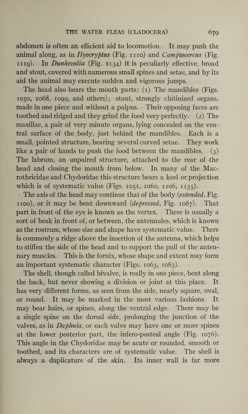 abdomen is often an efficient aid to locomotion. It may push the animal along, as in Ilyocryptus (Fig. mo) and Camptocercus (Fig. 1119). In Dunhevedia (Fig. 1134) it is peculiarly effective, broad and stout, covered with numerous small spines and setae, and by its aid the animal may execute sudden and vigorous jumps. The head also bears the mouth parts: (1) The mandibles (Figs. 1050, 1068, 1099, and others); stout, strongly chitinized organs, made in one piece and without a palpus. Their opposing faces are toothed and ridged and they grind the food very perfectly. (2) The maxillae, a pair of very minute organs, lying concealed on the ven¬ tral surface of the body, just behind the mandibles. Each is a small, pointed structure, bearing several curved setae. They work like a pair of hands to push the food between the mandibles. (3) The labrum, an unpaired structure, attached to the rear of the head and closing the mouth from below. In many of the Mac- rothricidae and Chydoridae this structure bears a keel or projection which is of systematic value (Figs. 1051, 1060, 1106, 1135). The axis of the head may continue that of the body {extended, Fig. 1100), or it may be bent downward (1depressed, Fig. 1087). That part in front of the eye is known as the vertex. There is usually a sort of beak in front of, or between, the antennules, which is known as the rostrum, whose size and shape have systematic value. There is commonly a ridge above the insertion of the antenna, which helps to stiffen the side of the head and to support the pull of the anten- nary muscles. This is the fornix, whose shape and extent may form an important systematic character (Figs. 1063, 1083). The shell, though called bivalve, is really in one piece, bent along the back, but never showing a division or joint at this place. It has very different forms, as seen from the side, nearly square, oval, or round. It may be marked in the most various fashions. It may bear hairs, or spines, along the ventral edge. There may be a single spine on the dorsal side, prolonging the junction of the valves, as in Daphnia, or each valve may have one or more spines at the lower posterior part, the infero-posteal angle (Fig. 1076). This angle in the Chydoridae may be acute or rounded, smooth or toothed, and its characters are of systematic value. The shell is always a duplicature of the skin. Its inner wall is far more