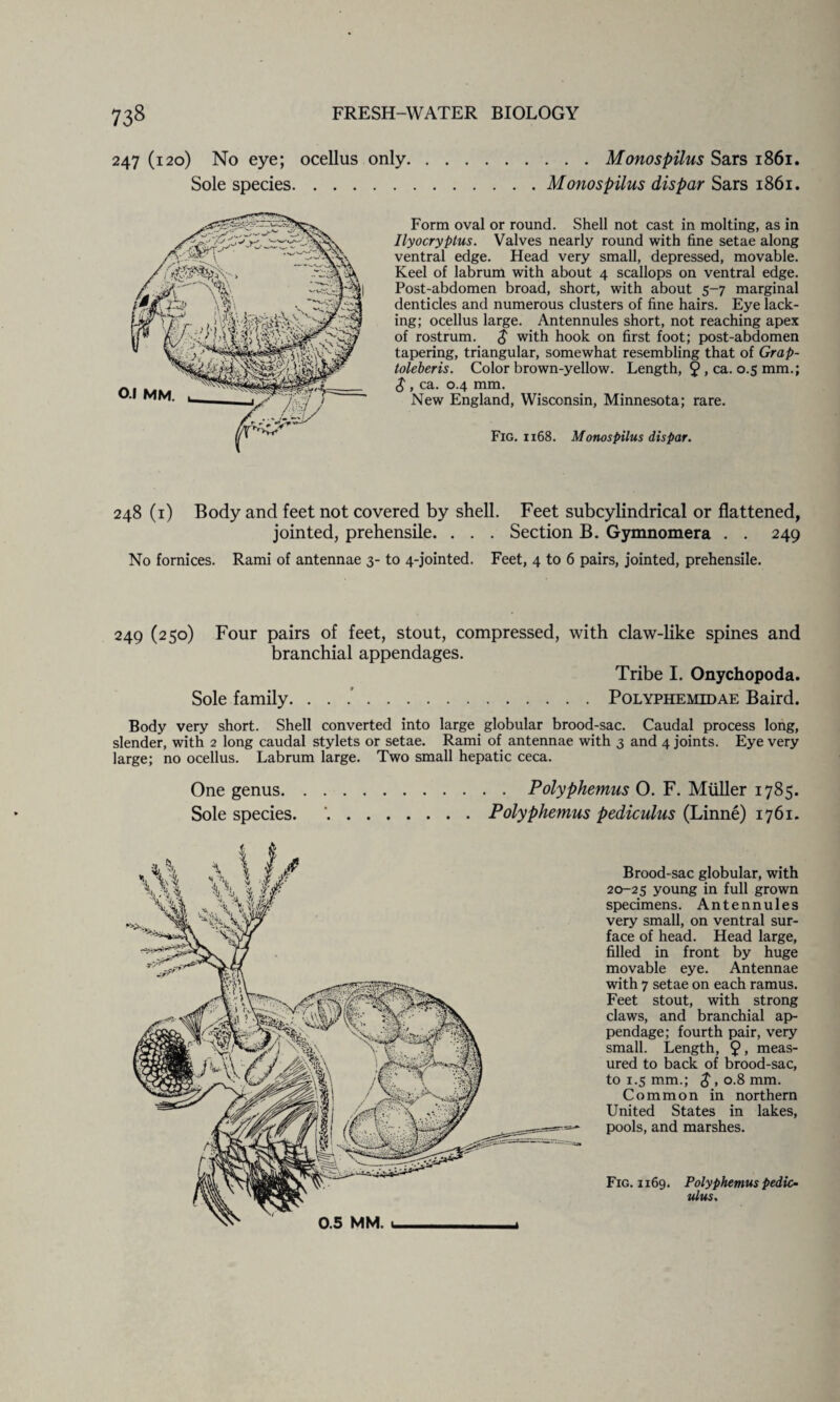 . . . Monospilus Sars 1861. Monospilus dispar Sars 1861. FRESH-WATER BIOLC 247 (120) No eye; ocellus only Sole species. Form oval or round. Shell not cast in molting, as in Ilyocryptus. Valves nearly round with fine setae along ventral edge. Head very small, depressed, movable. Keel of labrum with about 4 scallops on ventral edge. Post-abdomen broad, short, with about 5-7 marginal denticles and numerous clusters of fine hairs. Eye lack¬ ing; ocellus large. Antennules short, not reaching apex of rostrum. $ with hook on first foot; post-abdomen tapering, triangular, somewhat resembling that of Grap- toleberis. Color brown-yellow. Length, 9 > ca. 0.5 mm.; $, ca. 0.4 mm. New England, Wisconsin, Minnesota; rare. Fig. 1168. Monospilus dispar. 248 (1) Body and feet not covered by shell. Feet subcylindrical or flattened, jointed, prehensile. . . . Section B. Gymnomera . . 249 No fornices. Rami of antennae 3- to 4-jointed. Feet, 4 to 6 pairs, jointed, prehensile. 249 (250) Four pairs of feet, stout, compressed, with claw-like spines and branchial appendages. Tribe I. Onychopoda. Sole family. . . .'.Polyphemidae Baird. Body very short. Shell converted into large globular brood-sac. Caudal process long, slender, with 2 long caudal stylets or setae. Rami of antennae with 3 and 4 joints. Eye very large; no ocellus. Labrum large. Two small hepatic ceca. One genus.Polyphemus O. F. Muller 1785. Sole species. '.Polyphemus pediculus (Linne) 1761. Brood-sac globular, with 20-25 young in full grown specimens. Antennules very small, on ventral sur¬ face of head. Head large, filled in front by huge movable eye. Antennae with 7 setae on each ramus. Feet stout, with strong claws, and branchial ap¬ pendage; fourth pair, very small. Length, 9> meas¬ ured to back of brood-sac, to 1.5 mm.; J,o.8mm, Common in northern United States in lakes, pools, and marshes. 0.5 MM. ^ Fig. 1169. Polyphemus pedic¬ ulus.