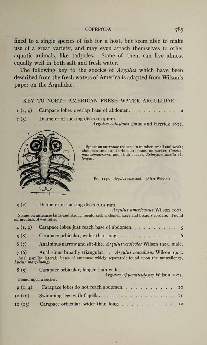 fined to a single species of fish for a host, but seem able to make use of a great variety, and may even attach themselves to other aquatic animals, like tadpoles. Some of them can live almost equally well in both salt and fresh water. The following key to the species of Argulus which have been described from the fresh waters of America is adapted from Wilson’s paper on the Argulidae. KEY TO NORTH AMERICAN FRESH-WATER ARGULIDAE 1 (4, 9) Carapace lobes overlap base of abdomen.2 2 (3) Diameter of sucking disks 0.25 mm. Argulus catostomi Dana and Herrick 1837. Spines on antennae reduced in number, small and weak; abdomen small and orbicular; found on sucker, Catoslo- mus commersoni, and chub sucker, Erimyzon sucetta ob- longus. Fig. 1241. Argulus catostomi- (After Wilson.) 3 (2) Diameter of sucking disks 0.15 mm. Argulus americanus Wilson 1903. Spines on antennae large and strong, reenforced; abdomen large and broadly cordate. Found on mudfish, Amia calva. 4 (1, 9) Carapace lobes just reach base of abdomen. 5 5 (8) Carapace orbicular, wider than long. 6 6 (7) Anal sinus narrow and slit-like. Argulus versicolor Wilson 1903, male. 7 (6) Anal sinus broadly triangular. . Argulus maculosus Wilson 1903. Anal papillae lateral; bases of antennae widely separated; found upon the muscallonge, Lucius masquinongy. 8 (5) Carapace orbicular, longer than wide. Argulus appendiculosus Wilson 1907. Found upon a sucker. 9 (1, 4) Carapace lobes do not reach abdomen. 10 10 (16) Swimming legs with flagella.n 11 (13) Carapace orbicular, wider than long.12