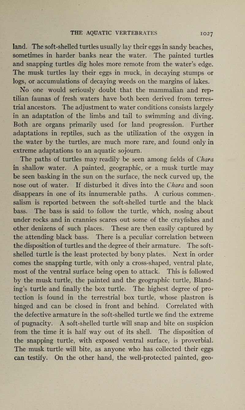 land. The soft-shelled turtles usually lay their eggs in sandy beaches, sometimes in harder banks near the water. The painted turtles and snapping turtles dig holes more remote from the water’s edge. The musk turtles lay their eggs in muck, in decaying stumps or logs, or accumulations of decaying weeds on the margins of lakes. No one would seriously doubt that the mammalian and rep¬ tilian faunas of fresh waters have both been derived from terres¬ trial ancestors. The adjustment to water conditions consists largely in an adaptation of the limbs and tail to swimming and diving. Both are organs primarily used for land progression. Further adaptations in reptiles, such as the utilization of the oxygen in the water by the turtles, are much more rare, and found only in extreme adaptations to an aquatic sojourn. The paths of turtles may readily be seen among fields of Chara in shallow water. A painted, geographic, or a musk turtle may be seen basking in the sun on the surface, the neck curved up, the nose out of water. If disturbed it dives into the Chara and soon disappears in one of its innumerable paths. A curious commen-. salism is reported between the soft-shelled turtle and the black bass. The bass is said to follow the turtle, which, nosing about under rocks and in crannies scares out some of the crayfishes and other denizens of such places. These are then easily captured by the attending black bass. There is a peculiar correlation between the disposition of turtles and the degree of their armature. The soft- shelled turtle is the least protected by bony plates. Next in order comes the snapping turtle, with only a cross-shaped, ventral plate, most of the ventral surface being open to attack. This is followed by the musk turtle, the painted and the geographic turtle, Bland- ing’s turtle and finally the box turtle. The highest degree of pro¬ tection is found in the terrestrial box turtle, whose plastron is hinged and can be closed in front and behind. Correlated with the defective armature in the soft-shelled turtle we find the extreme of pugnacity. A soft-shelled turtle will snap and bite on suspicion from the time it is half way out of its shell. The disposition of the snapping turtle, with exposed ventral surface, is proverbial. The musk turtle will bite, as anyone who has collected their eggs can testify. On the other hand, the well-protected painted, geo-