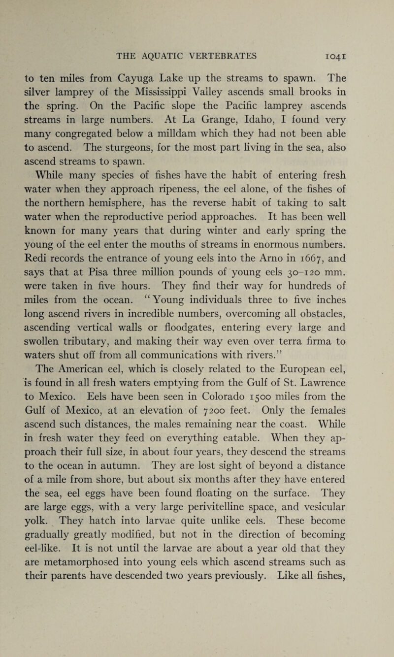 to ten miles from Cayuga Lake up the streams to spawn. The silver lamprey of the Mississippi Valley ascends small brooks in the spring. On the Pacific slope the Pacific lamprey ascends streams in large numbers. At La Grange, Idaho, I found very many congregated below a milldam which they had not been able to ascend. The sturgeons, for the most part living in the sea, also ascend streams to spawn. While many species of fishes have the habit of entering fresh water when they approach ripeness, the eel alone, of the fishes of the northern hemisphere, has the reverse habit of taking to salt water when the reproductive period approaches. It has been well known for many years that during winter and early spring the young of the eel enter the mouths of streams in enormous numbers. Redi records the entrance of young eels into the Arno in 1667, and says that at Pisa three million pounds of young eels 30-120 mm. were taken in five hours. They find their way for hundreds of miles from the ocean. “ Young individuals three to five inches long ascend rivers in incredible numbers, overcoming all obstacles, ascending vertical walls or floodgates, entering every large and swollen tributary, and making their way even over terra firma to waters shut off from all communications with rivers.” The American eel, which is closely related to the European eel, is found in all fresh waters emptying from the Gulf of St. Lawrence to Mexico. Eels have been seen in Colorado 1500 miles from the Gulf of Mexico, at an elevation of 7200 feet. Only the females ascend such distances, the males remaining near the coast. While in fresh water they feed on everything eatable. When they ap¬ proach their full size, in about four years, they descend the streams to the ocean in autumn. They are lost sight of beyond a distance of a mile from shore, but about six months after they have entered the sea, eel eggs have been found floating on the surface. They are large eggs, with a very large perivitelline space, and vesicular yolk. They hatch into larvae quite unlike eels. These become gradually greatly modified, but not in the direction of becoming eel-like. It is not until the larvae are about a year old that they are metamorphosed into young eels which ascend streams such as their parents have descended two years previously. Like all fishes,