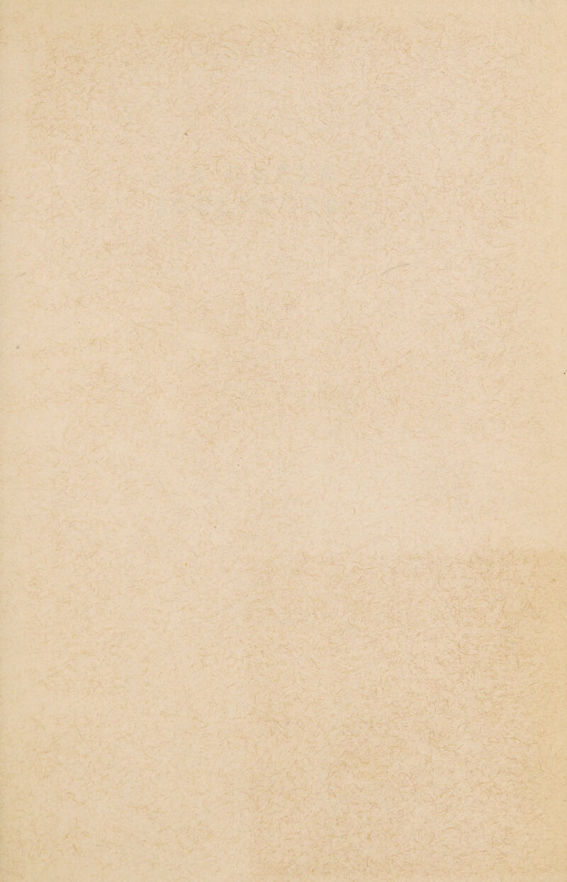 , ■ ' . V,-: t S - ■ .. >7 -- < ' ’ M jHL, .. /: .. i ‘. ■ ' *'■'? i: 7 V7 A , ■ -v •: , ■ \ ' y •• ' '.’-v - * . ... V|;-V y y y - • -v • y: .■ * - . ... -- ■ ^  , >\ ... . ] . - . y.i S: - ■ ' ' - ; '■ ’ v\. : ^ = ; \ -■ - y . :-vl ■