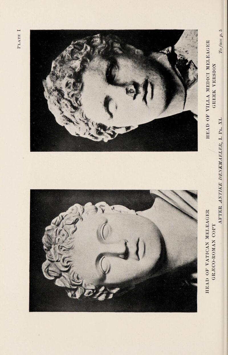 Plate HEAD OF VATICAN MELEAGER HEAD OF VILLA MEDICI MELEAGER GRiECO-ROMAN COFY GREEK VERSION AFTER AN TIKE DENKMAELER, I. Pe. XL To face p.