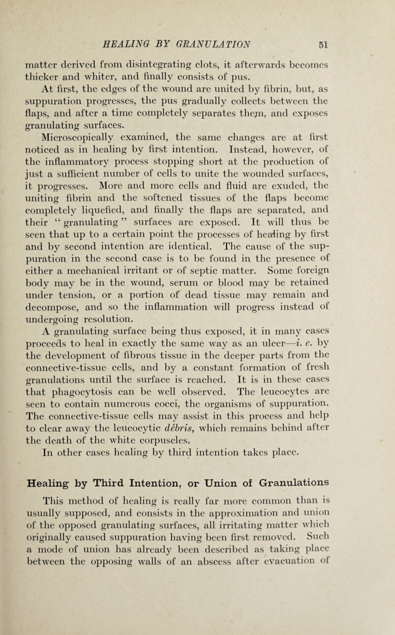 matter derived from disintegrating clots, it afterwards becomes thicker and whiter, and finally consists of pus. At first, the edges of the wound are united by fibrin, but, as suppuration progresses, the pus gradually collects between the flaps, and after a time completely separates the.ni, and exposes granulating surfaces. Microscopically examined, the same changes are at first noticed as in healing by first intention. Instead, however, of the inflammatory process stopping short at the production of just a sufficient number of cells to unite the wounded surfaces, it progresses. More and more cells and fluid are exuded, the uniting fibrin and the softened tissues of the flaps become completely liquefied, and finally the flaps are separated, and their “ granulating ” surfaces are exposed. It will thus be seen that up to a certain point the processes of healing by first and by second intention are identical. The cause of the sup¬ puration in the second case is to be found in the presence of either a mechanical irritant or of septic matter. Some foreign body may be in the wound, serum or blood may be retained under tension, or a portion of dead tissue may remain and decompose, and so the inflammation will progress instead of undergoing resolution. A granulating surface being thus exposed, it in many cases proceeds to heal in exactly the same way as an ulcer—i. e. by the development of fibrous tissue in the deeper parts from the connective-tissue cells, and by a constant formation of fresh granulations until the surface is reached. It is in these cases that phagocytosis can be well observed. The leucocytes are seen to contain numerous cocci, the organisms of suppuration. The connective-tissue cells may assist in this process and help to clear away the leucocytic debris, which remains behind after the death of the white corpuscles. In other cases healing by third intention takes place. Healing by Third Intention, or Union of Granulations This method of healing is really far more common than is usually supposed, and consists in the approximation and union of the opposed granulating surfaces, all irritating matter which originally caused suppuration having been first removed. Such a mode of union has already been described as taking place between the opposing walls of an abscess after evacuation of