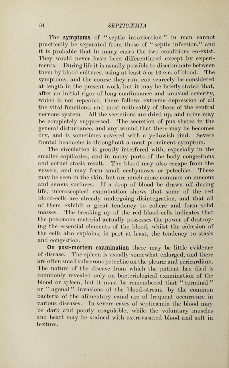 The symptoms of “ septic intoxication ” in man cannot practically be separated from those of “ septic infection,” and it is probable that in many cases the two conditions co-exist. They would never have been differentiated except by experi¬ ments. During life it is usually possible to discriminate between them by blood cultures, using at least 5 or 10 c.c. of blood. The symptoms, and the course they run, can scarcely be considered at length in the present work, but it may be briefly stated that, after an initial rigor of long continuance and unusual severity, which is not repeated, there follows extreme depression of all the vital functions, and most noticeably of those of the central nervous system. All the secretions are dried up, and urine may be completely suppressed. The secretion of pus shares in the general disturbance, and any wound that there may be becomes dry, and is sometimes covered with a yellowish rind. Severe frontal headache is throughout a most prominent symptom. The circulation is greatly interfered with, especially in the smaller capillaries, and in many parts of the body congestions and actual stasis result. The blood may also escape from the vessels, and may form small ecchymoses or petechiae. These may be seen in the skin, but are much more common on mucous and serous surfaces. If a drop of blood be drawn off during life, microscopical examination shows that some of the red blood-cells are already undergoing disintegration, and that all of them exhibit a great tendency to cohere and form solid masses. The breaking up of the red blood-cells indicates that the poisonous material actually possesses the power of destroy¬ ing the essential elements of the blood, whilst the cohesion of the cells also explains, in part at least, the tendency to stasis and congestion. On post-mortem examination there may be little evidence of disease. The spleen is usually somewhat enlarged, and there are often small subserous petechiae on the pleurae and pericardium. The nature of the disease from which the patient has died is commonly revealed only on bacteriological examination of the blood or spleen, but it must be remembered that “ terminal ” or “ agonal ” invasions of the blood-stream by the common bacteria of the alimentary canal are of frequent occurrence in various diseases. In severe cases of septicaemia the blood may be dark and poorly coagulable, while the voluntary muscles and heart may be stained with extravasated blood and soft in texture.